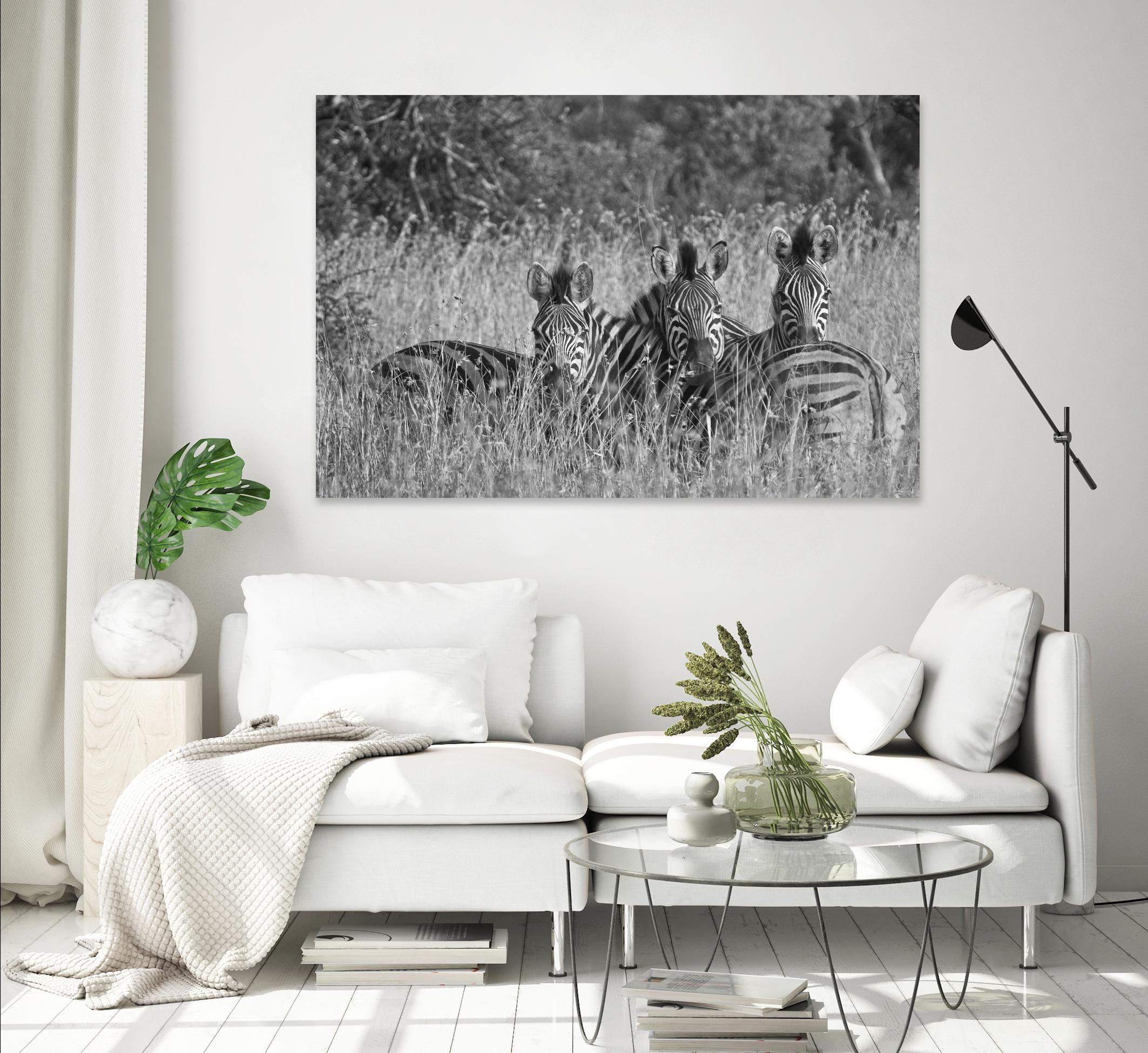 Safety in numbers by Nick Jackson on GIANT ART - white animals