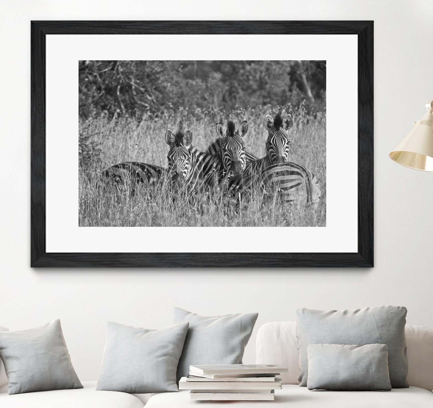 Safety in numbers by Nick Jackson on GIANT ART - white animals