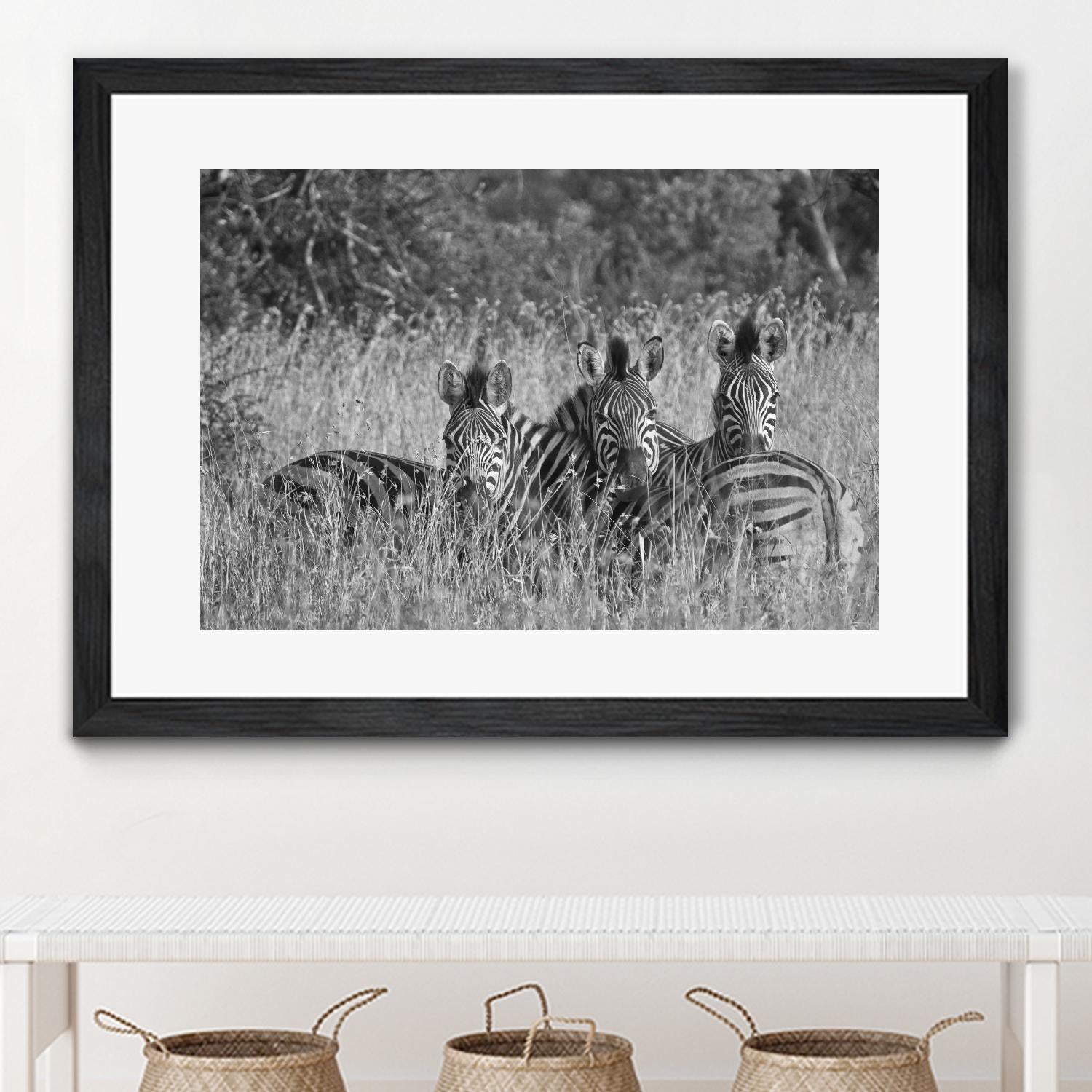 Safety in numbers by Nick Jackson on GIANT ART - white animals