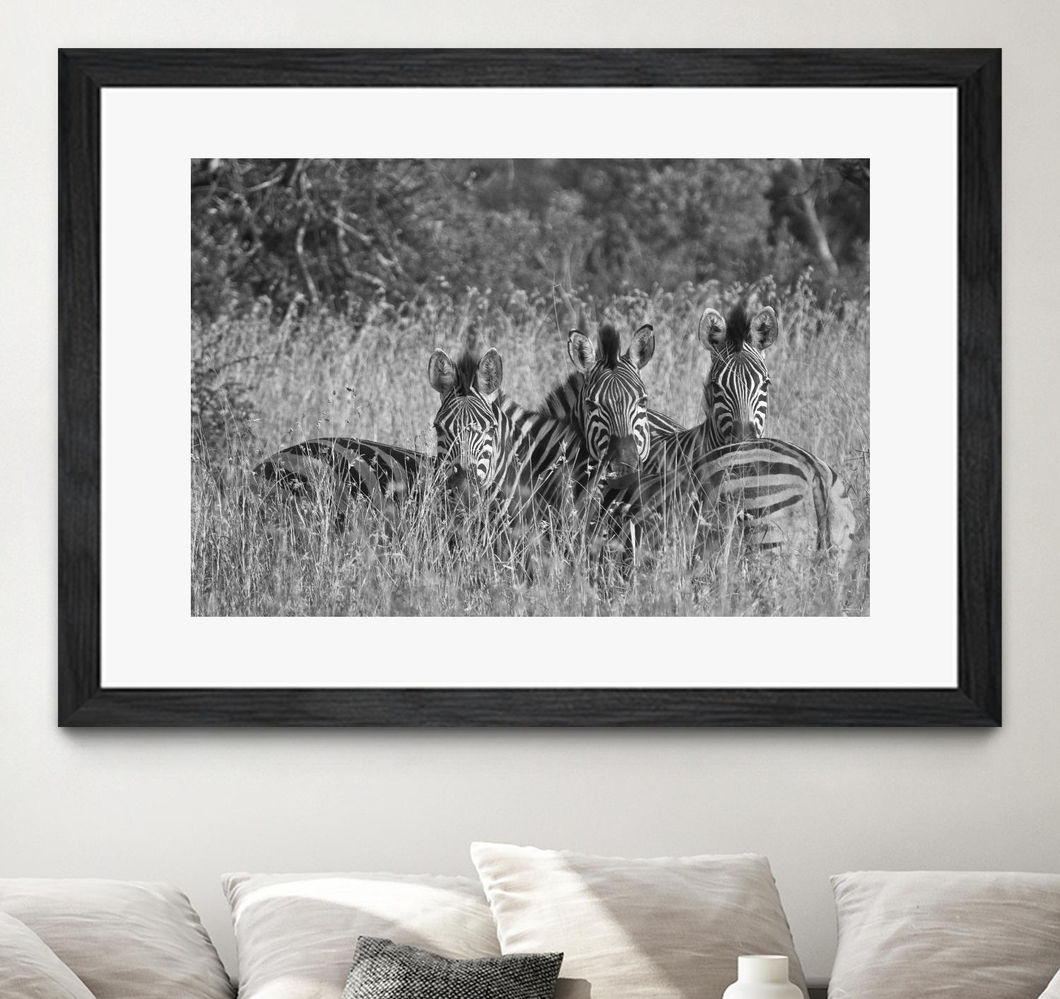 Safety in numbers by Nick Jackson on GIANT ART - white animals