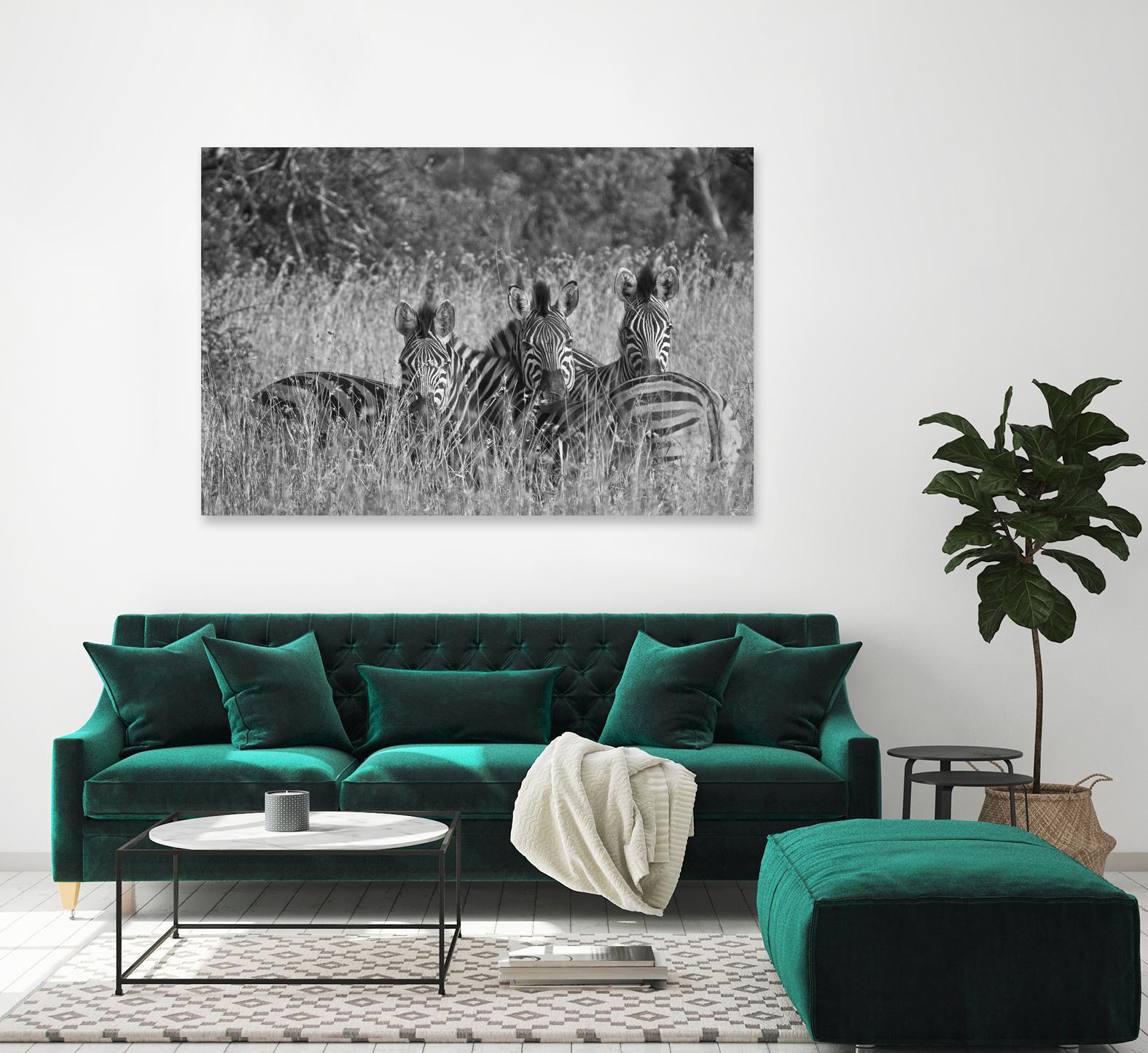 Safety in numbers by Nick Jackson on GIANT ART - white animals