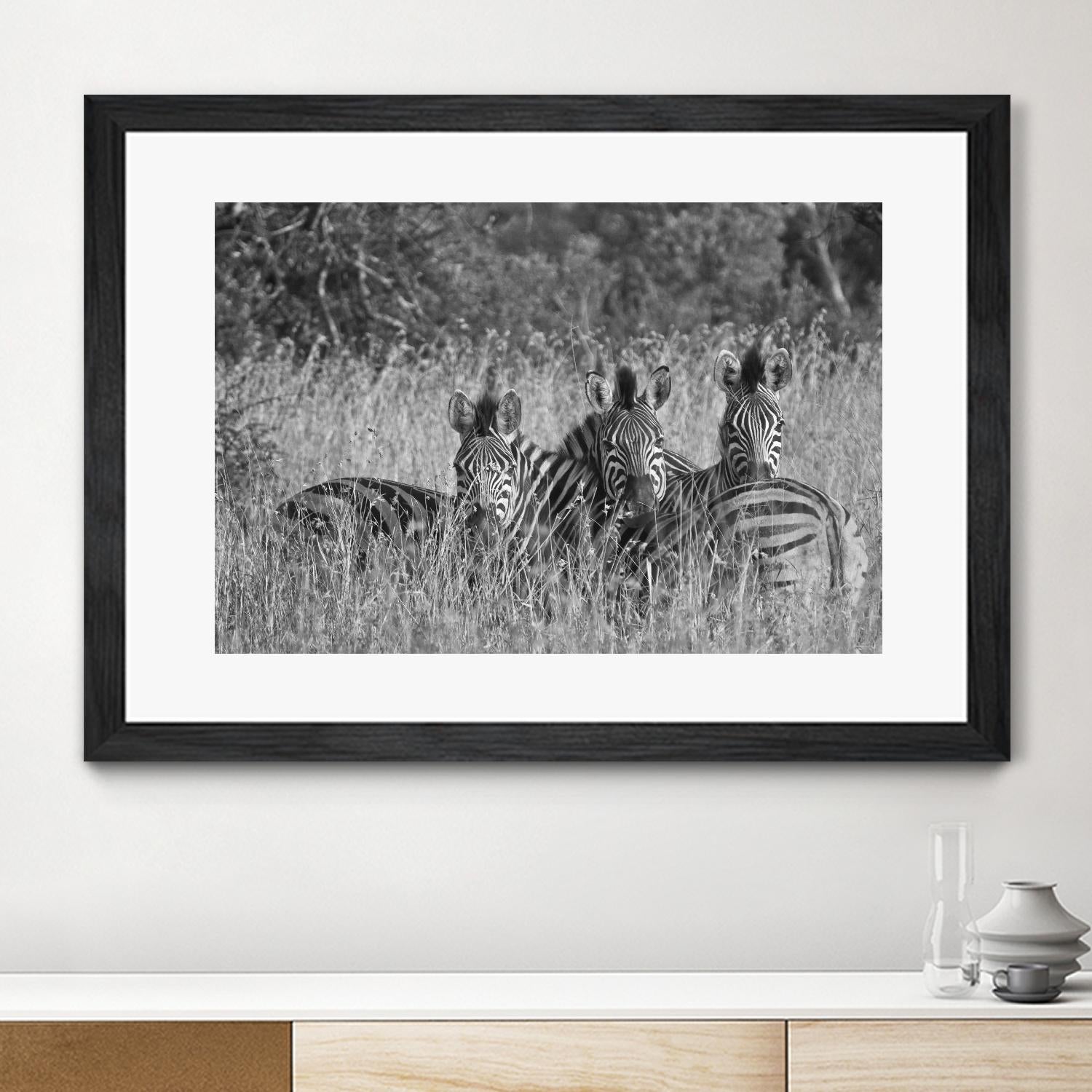 Safety in numbers by Nick Jackson on GIANT ART - white animals