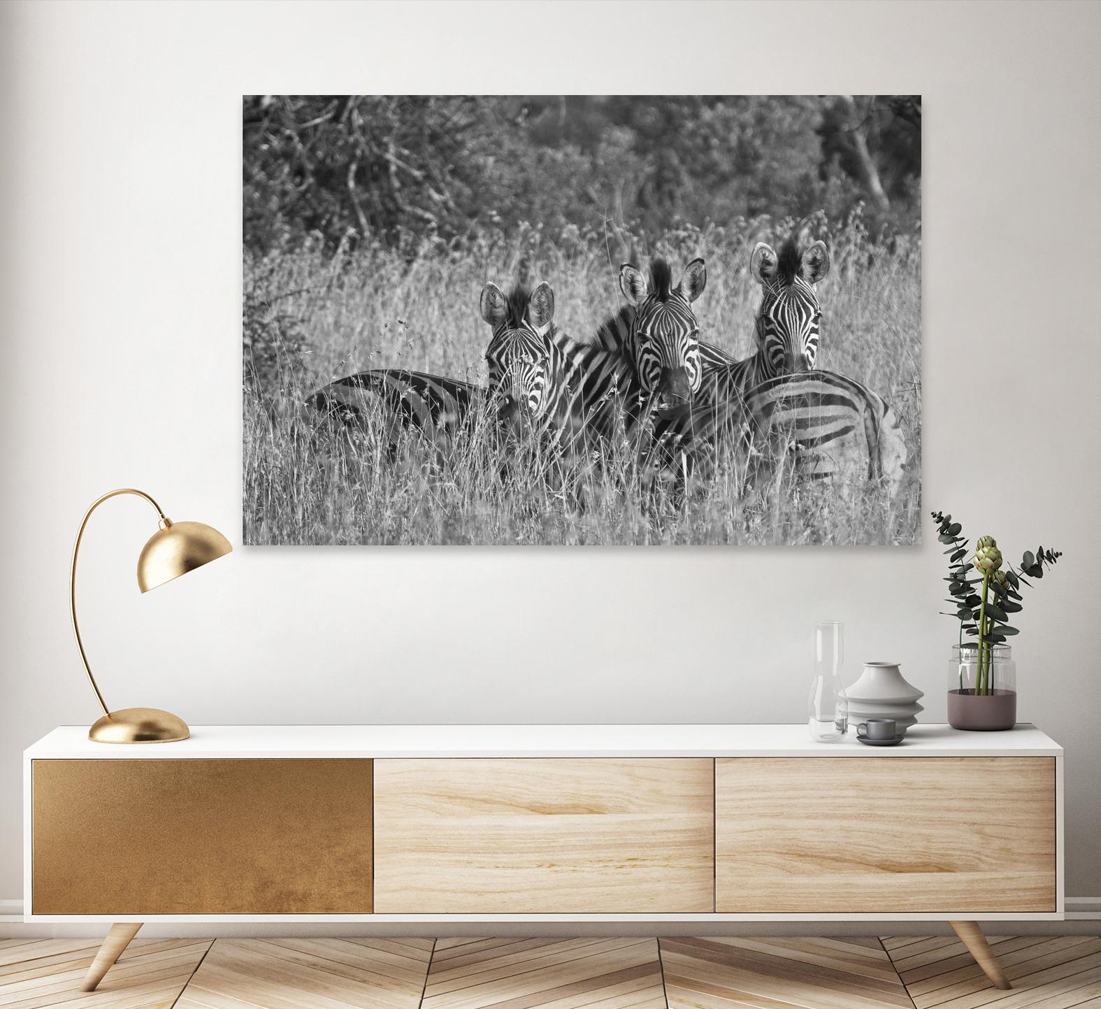 Safety in numbers by Nick Jackson on GIANT ART - white animals