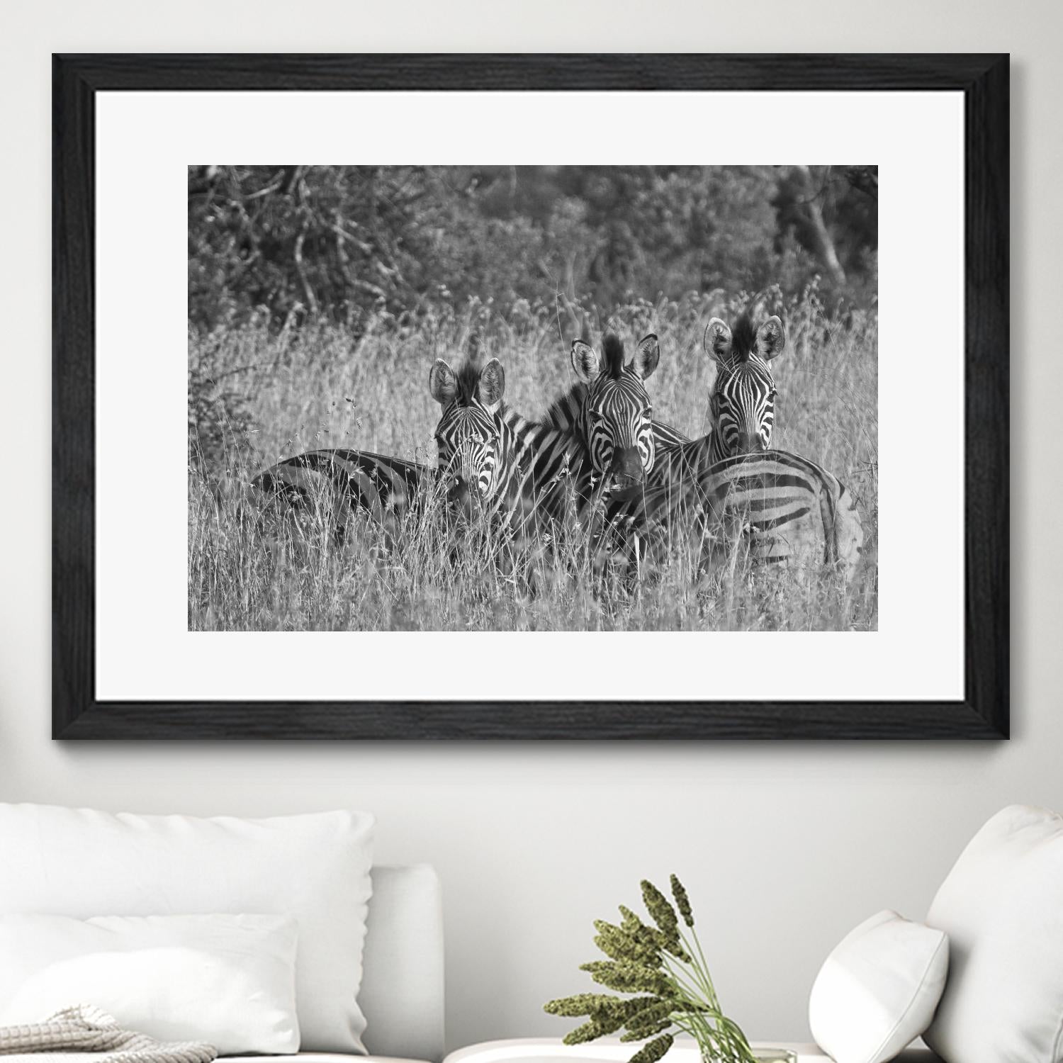 Safety in numbers by Nick Jackson on GIANT ART - white animals