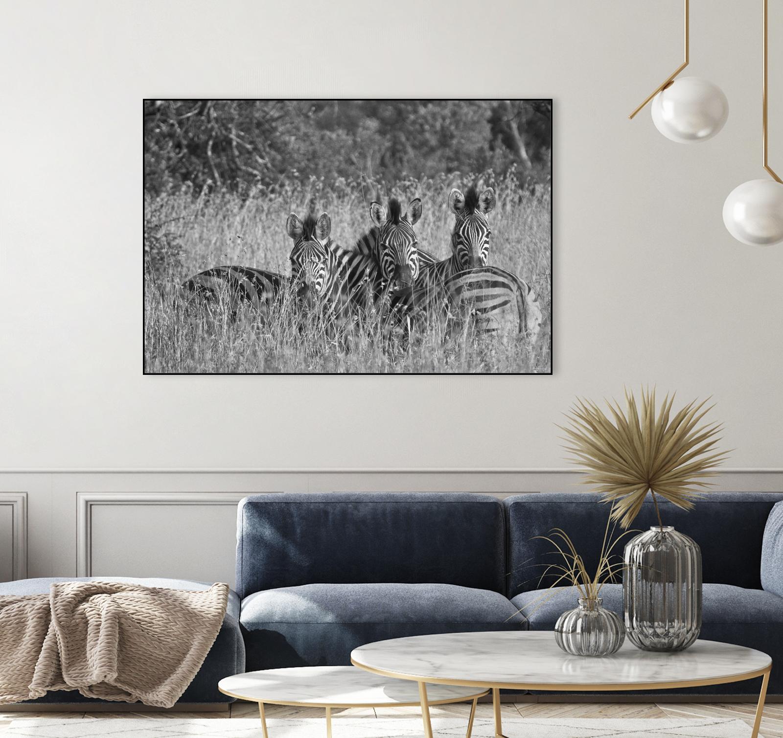 Safety in numbers by Nick Jackson on GIANT ART - white animals