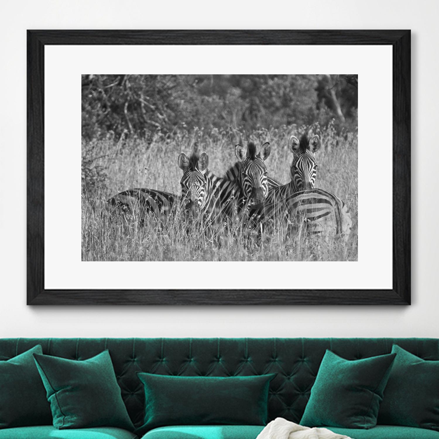 Safety in numbers by Nick Jackson on GIANT ART - white animals