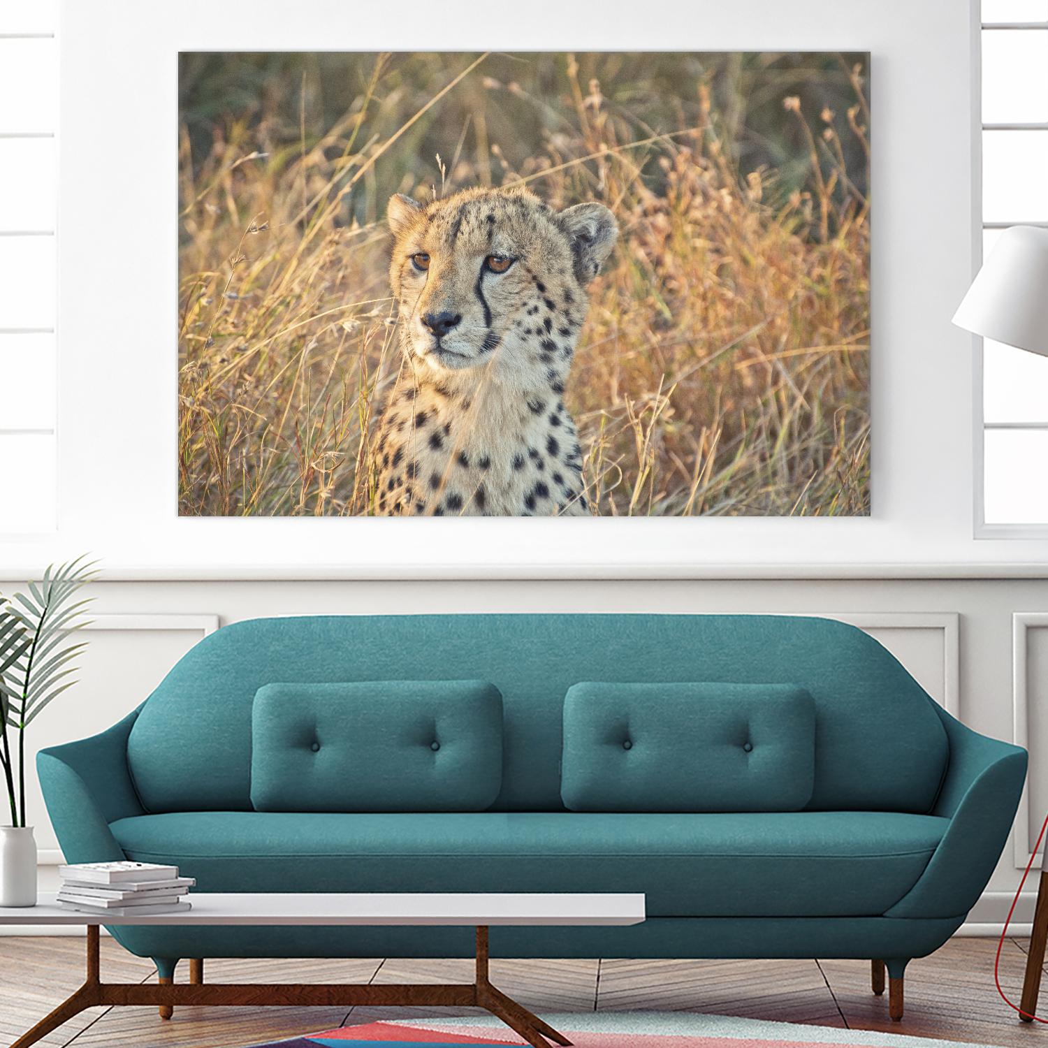 Watching her cubs by Nick Jackson on GIANT ART - black animals