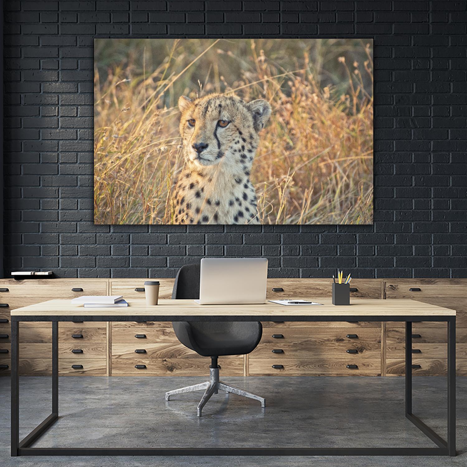 Watching her cubs by Nick Jackson on GIANT ART - black animals