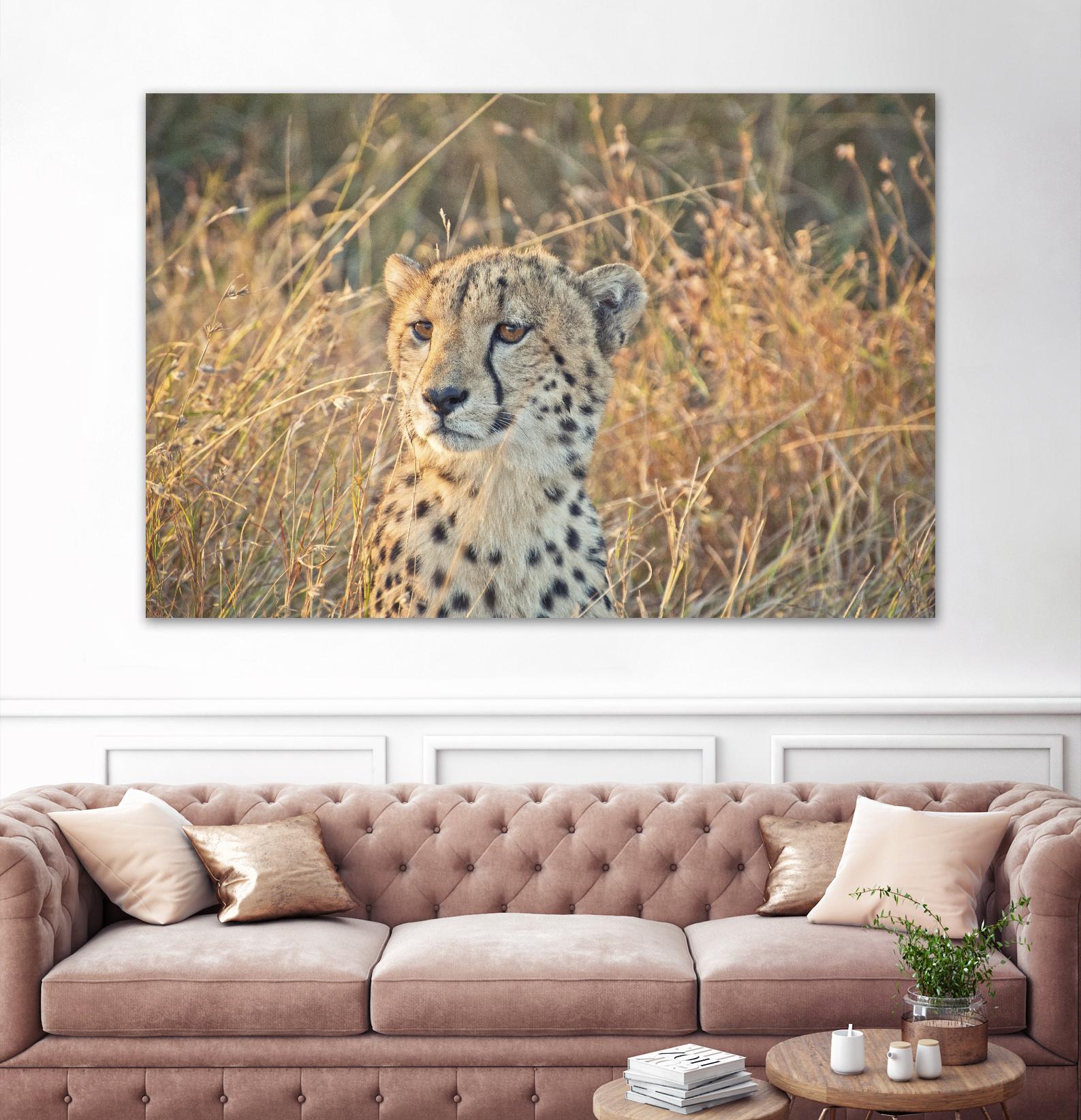 Watching her cubs by Nick Jackson on GIANT ART - black animals