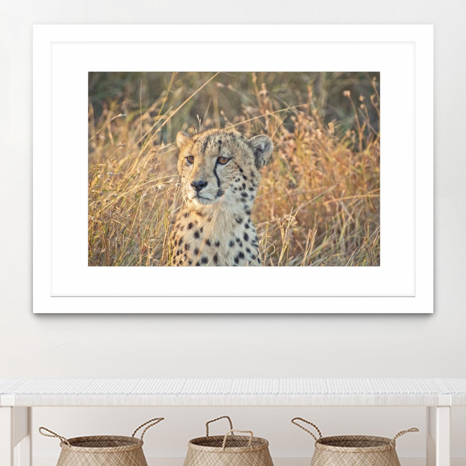 Watching her cubs by Nick Jackson on GIANT ART - black animals