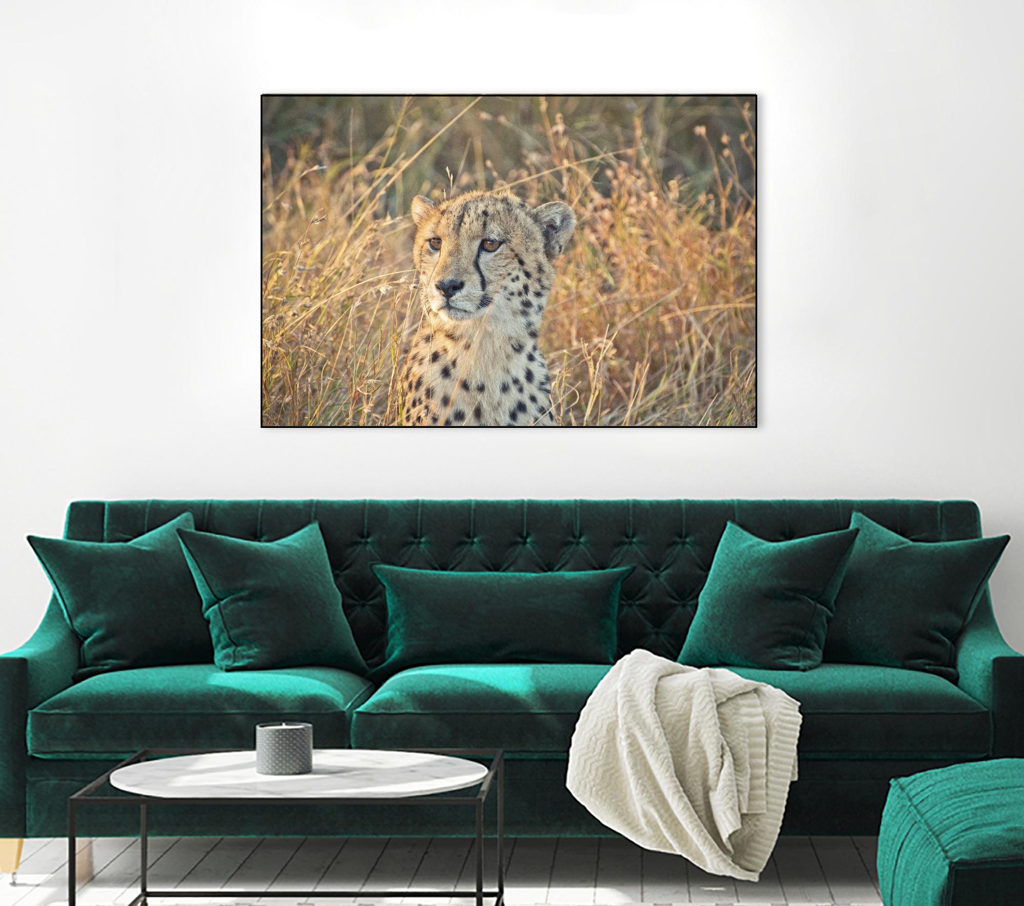 Watching her cubs by Nick Jackson on GIANT ART - black animals