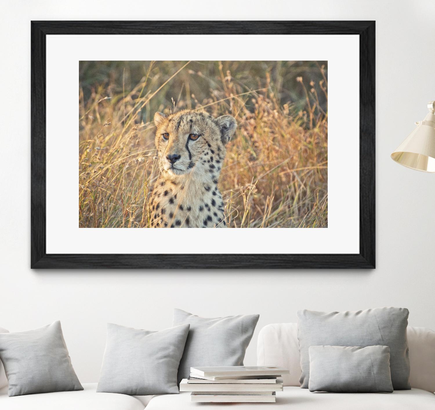 Watching her cubs by Nick Jackson on GIANT ART - black animals