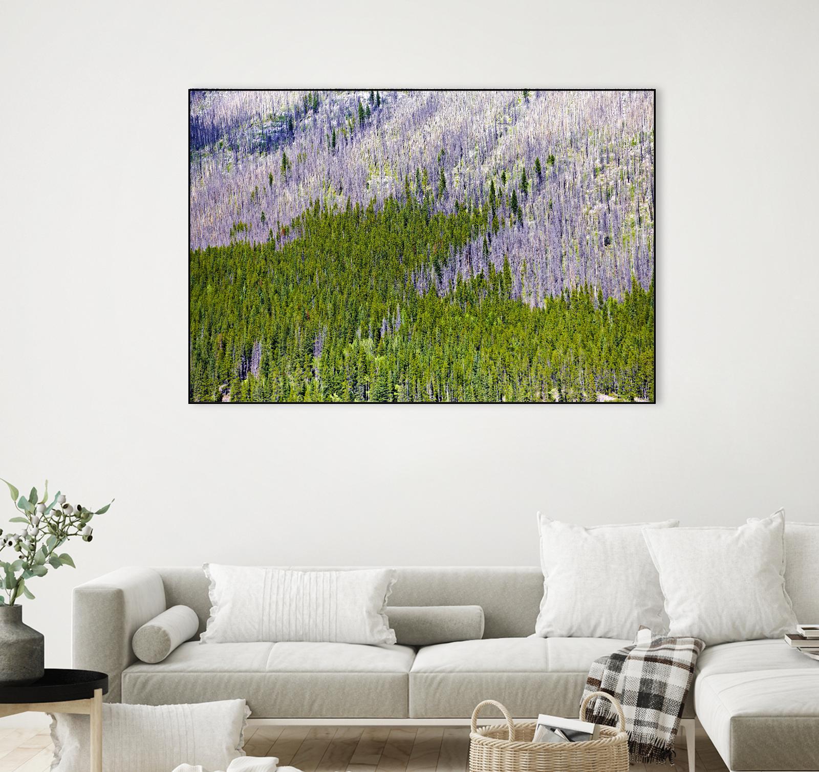 Landscape IV by Peter Morneau on GIANT ART - purple photo art