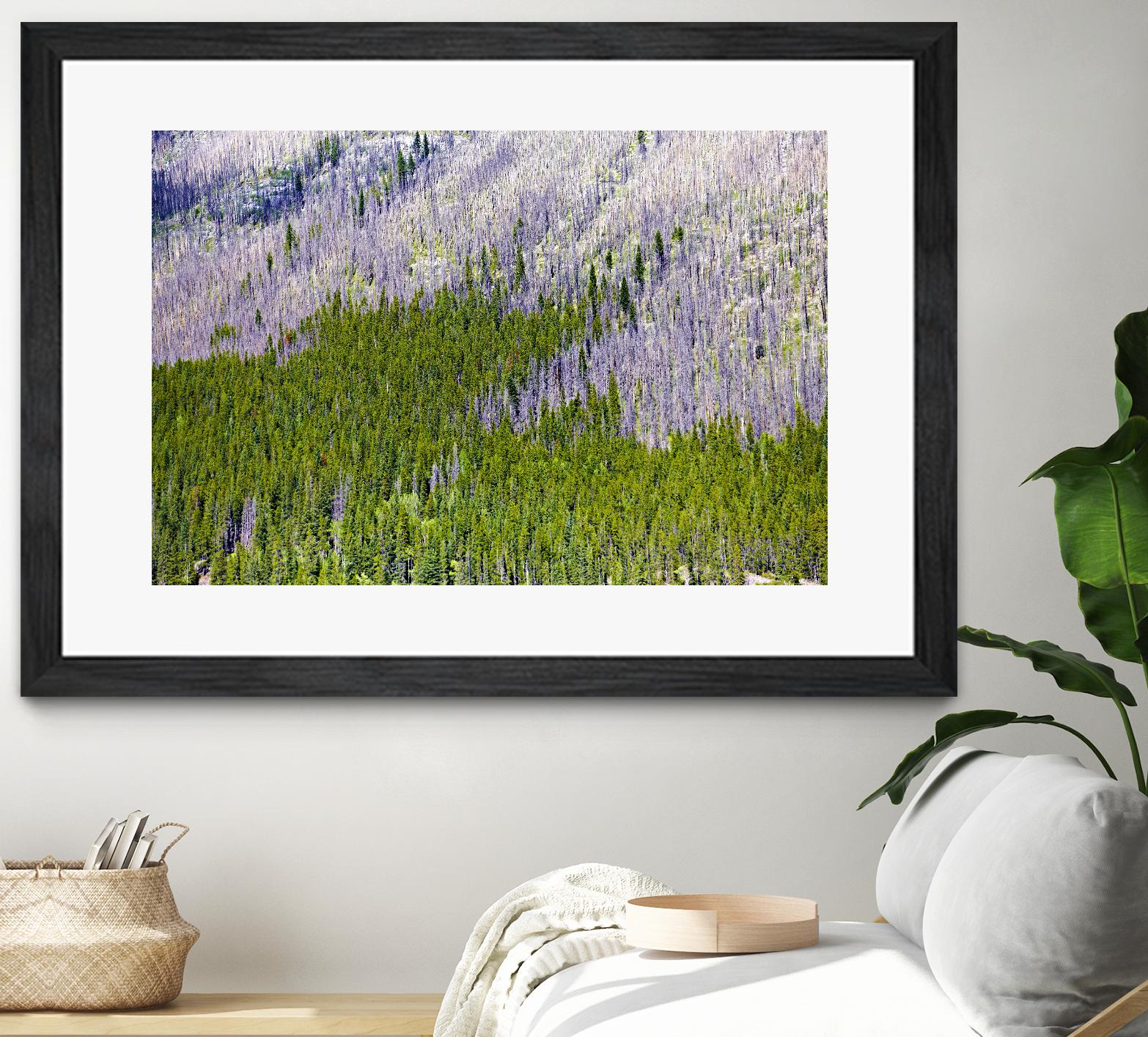 Landscape IV by Peter Morneau on GIANT ART - purple photo art