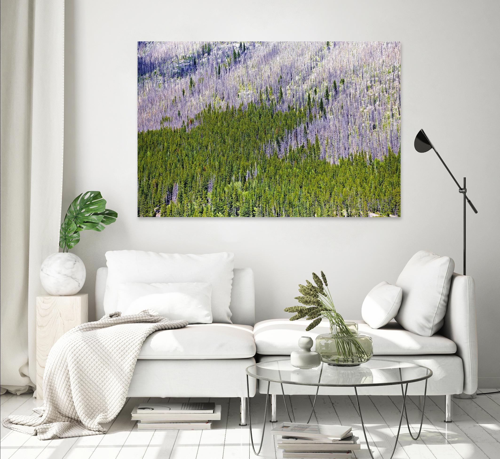 Landscape IV by Peter Morneau on GIANT ART - purple photo art