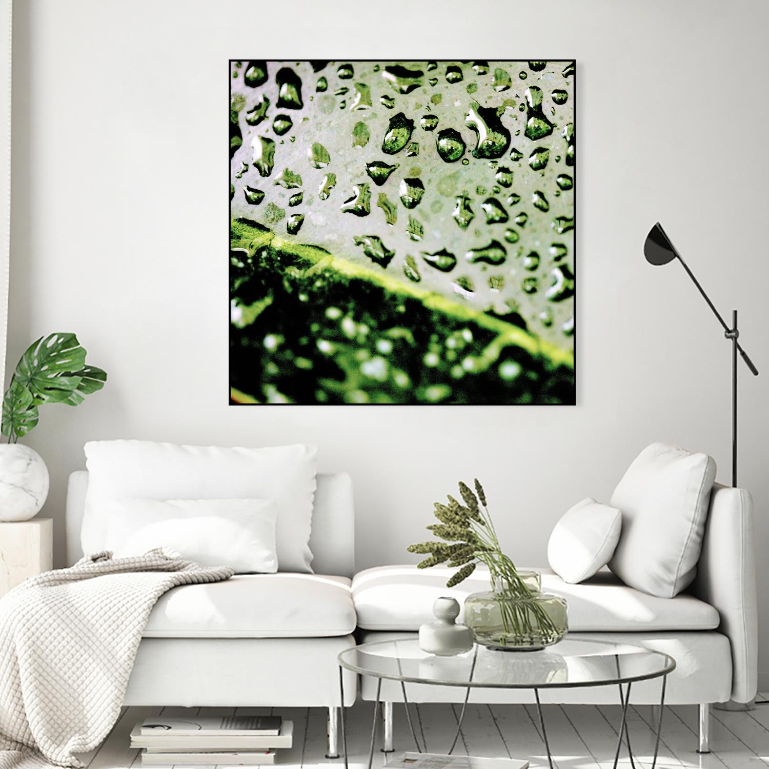 Leaf VI by Peter Morneau on GIANT ART - black photo art