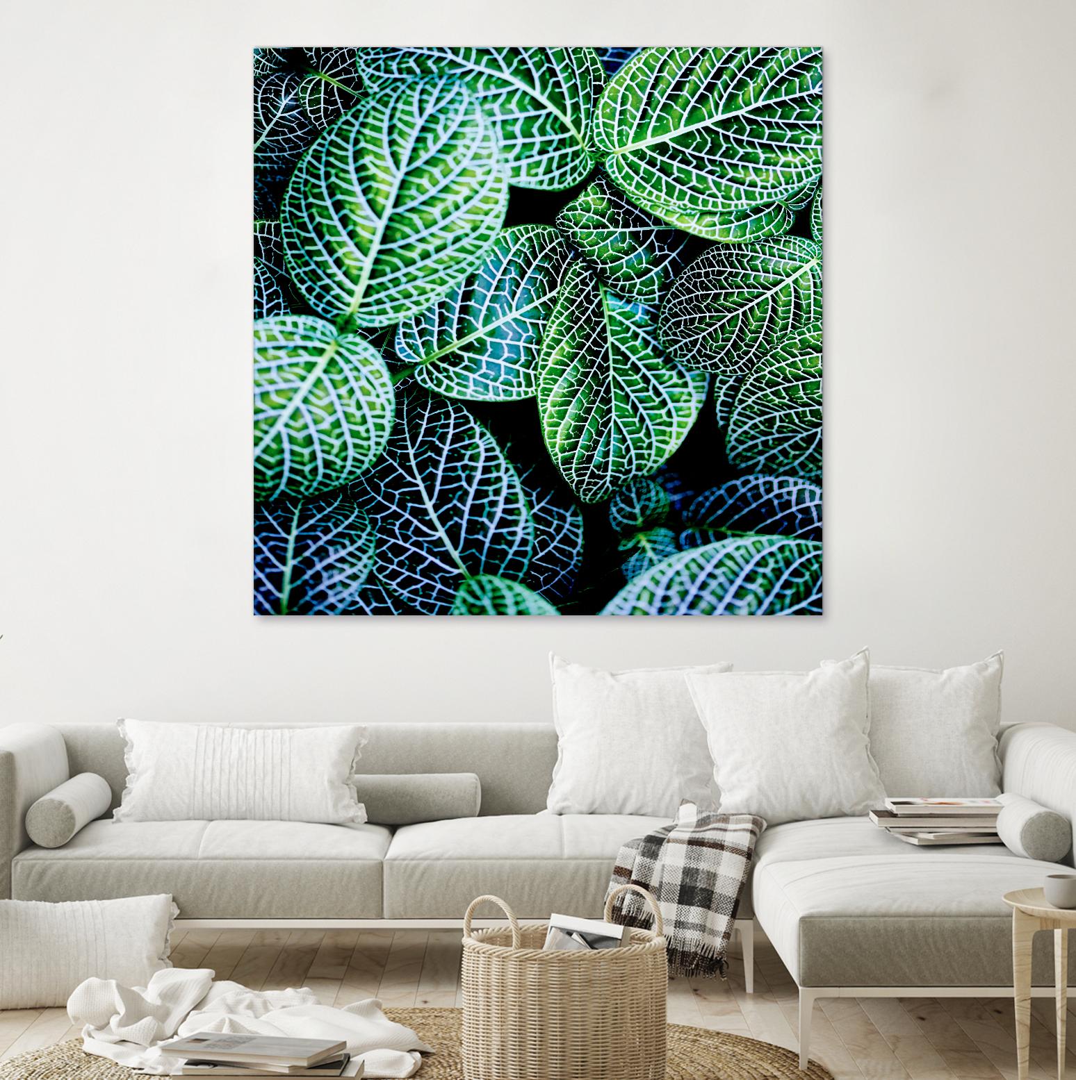 Leaf VIII by Peter Morneau on GIANT ART - white botany