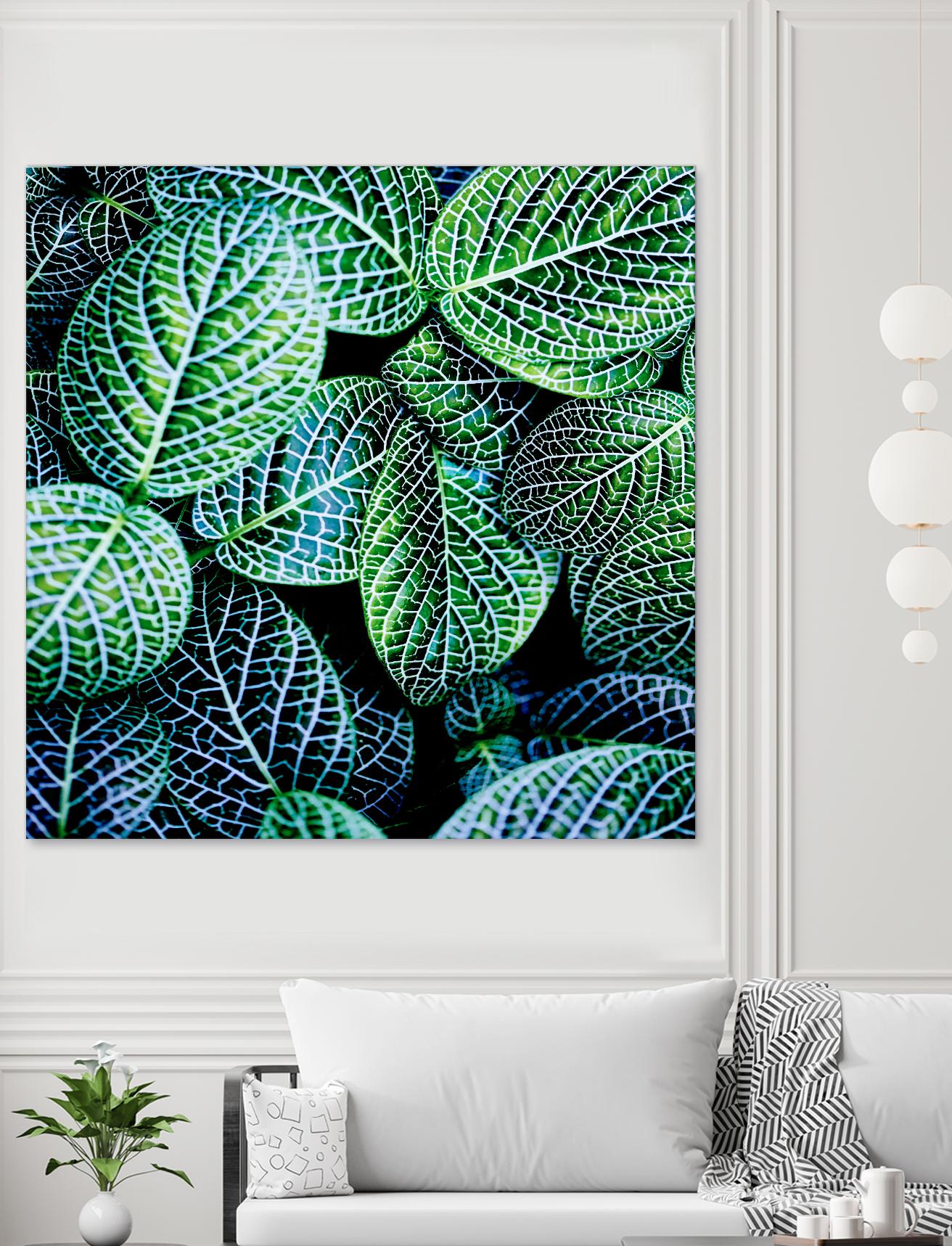 Leaf VIII by Peter Morneau on GIANT ART - white botany