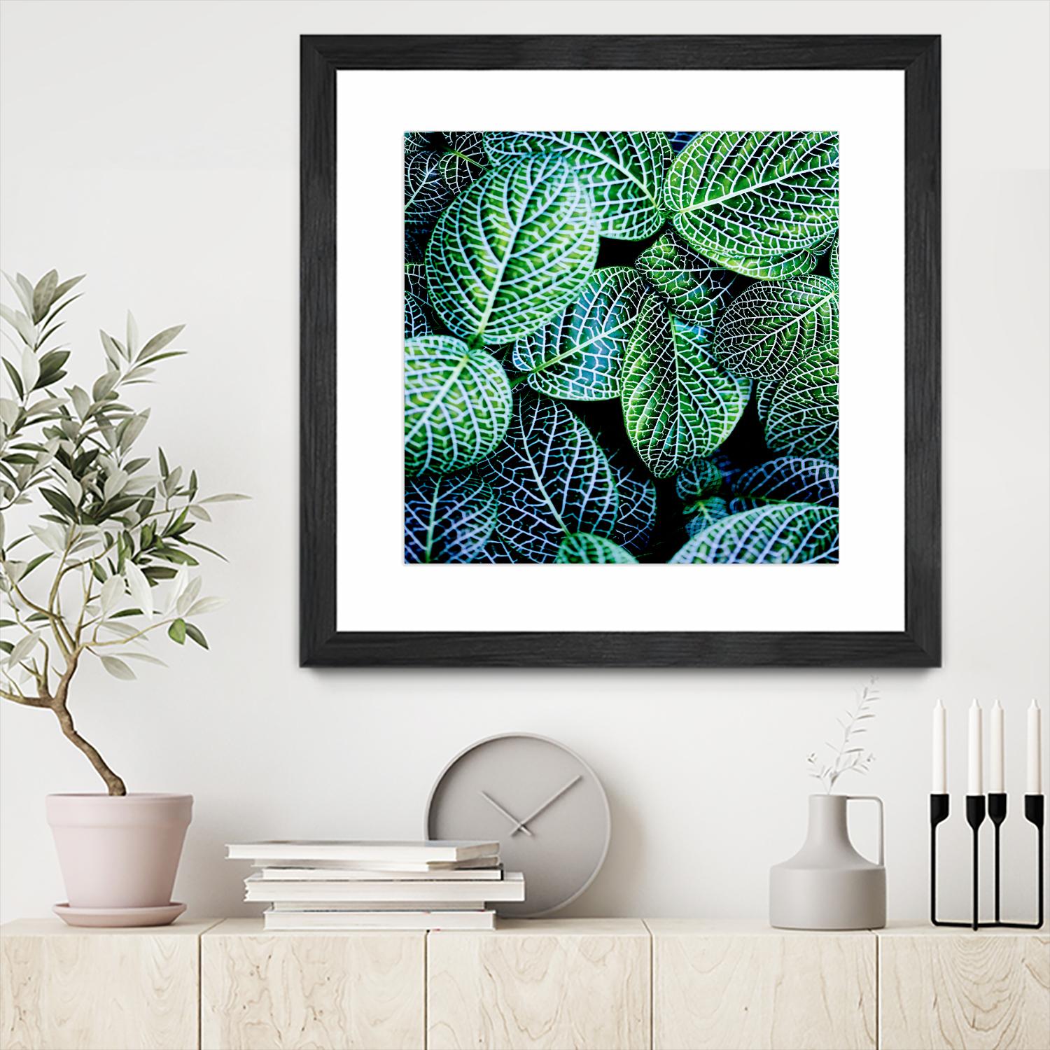 Leaf VIII by Peter Morneau on GIANT ART - white botany