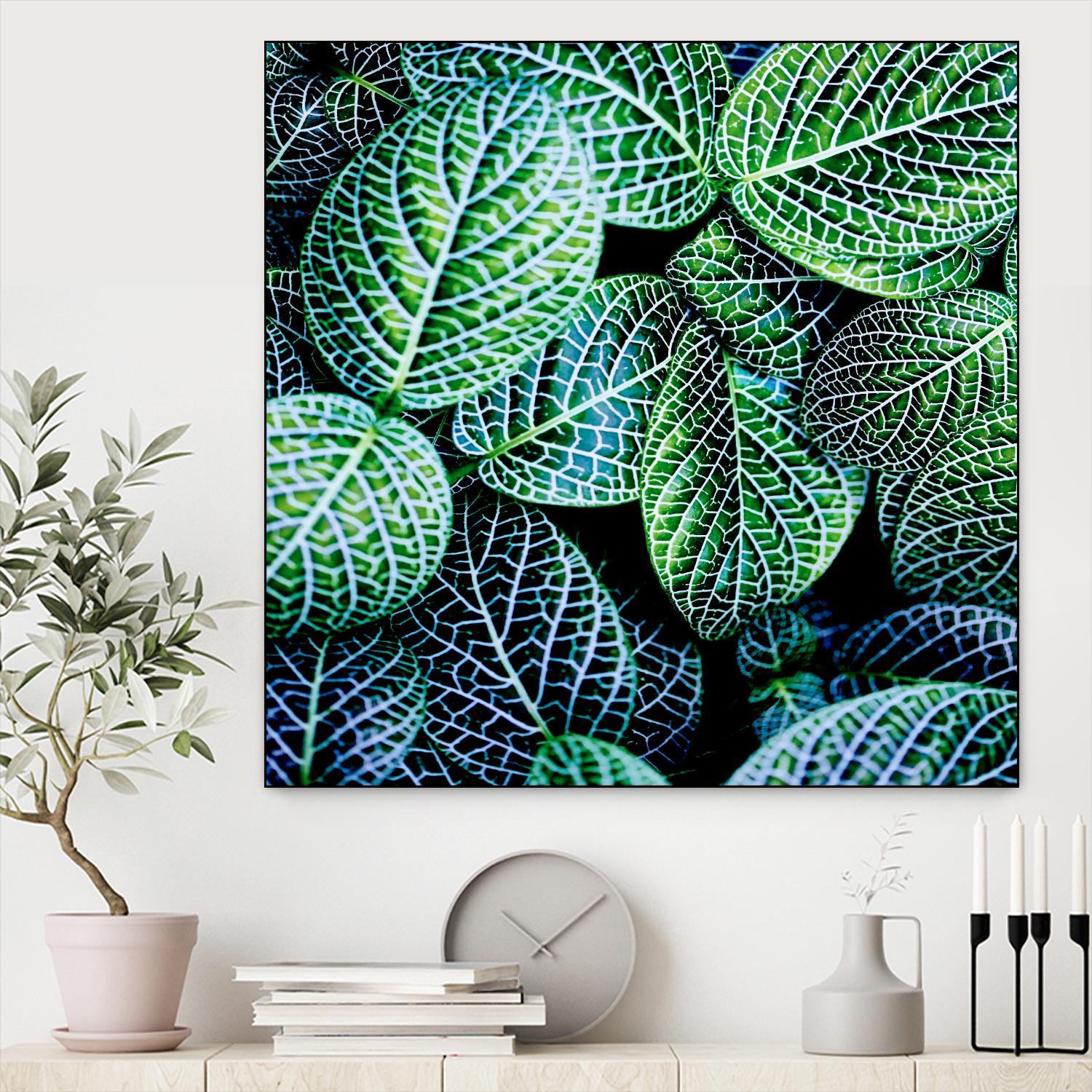 Leaf VIII by Peter Morneau on GIANT ART - white botany