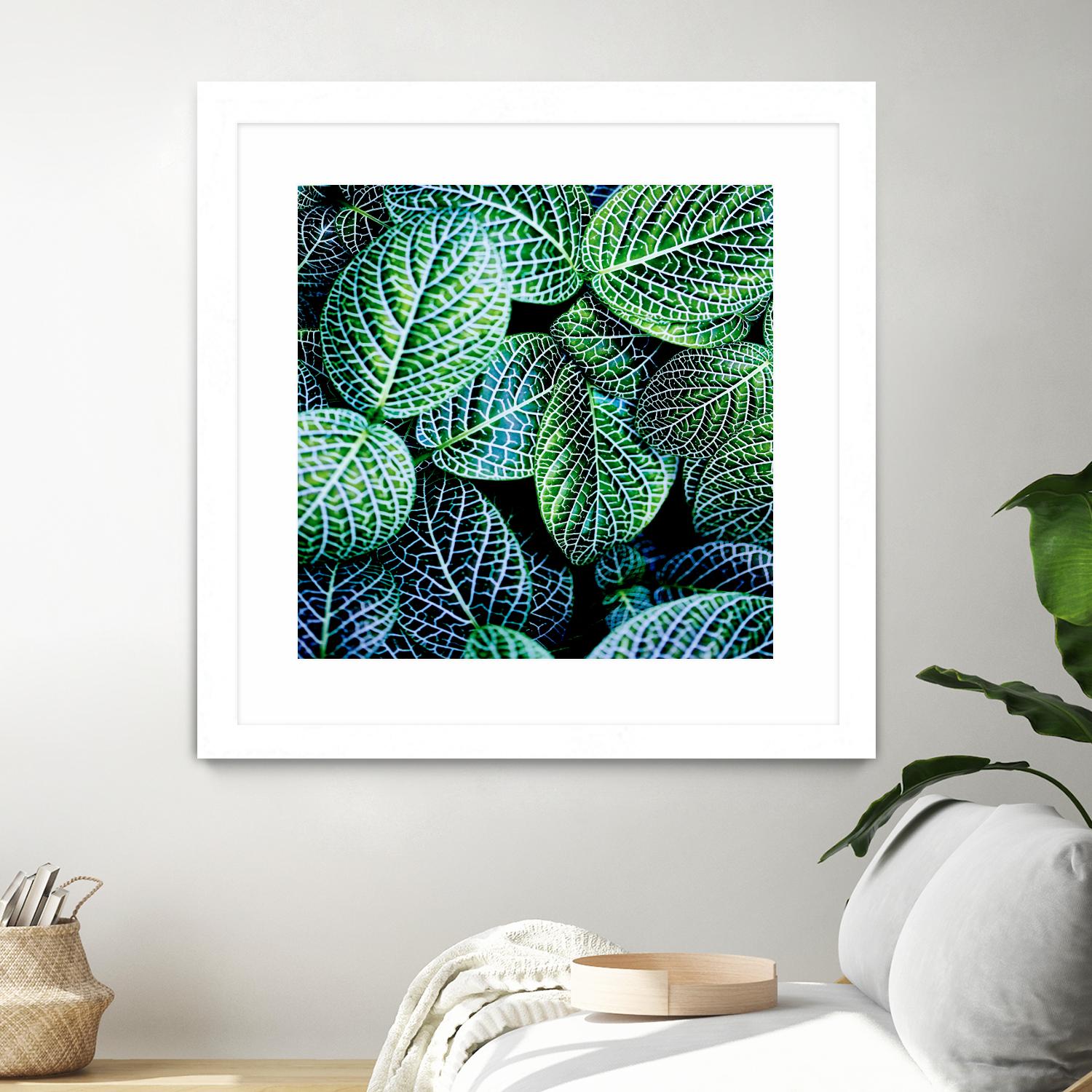 Leaf VIII by Peter Morneau on GIANT ART - white botany