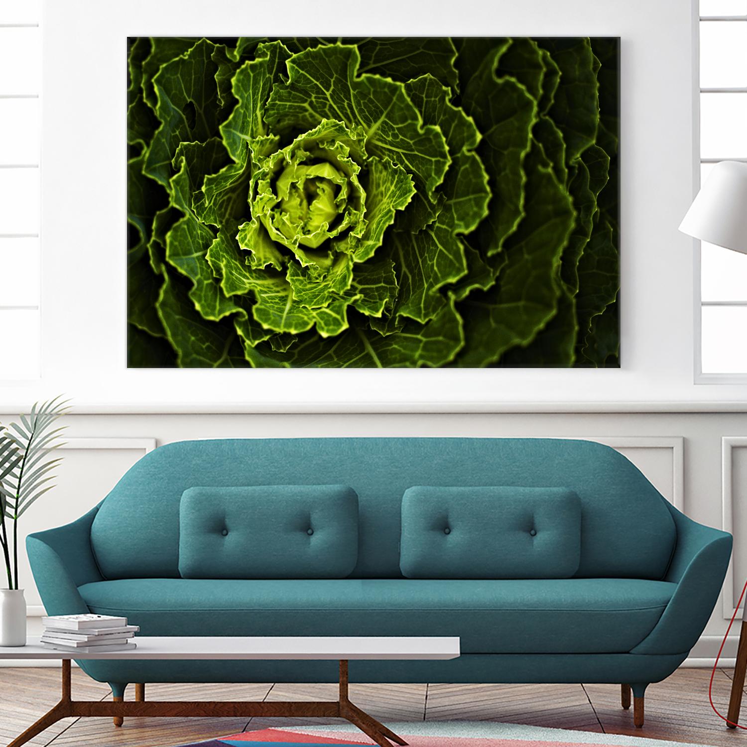 Cabbage I by Peter Morneau on GIANT ART - green photo art