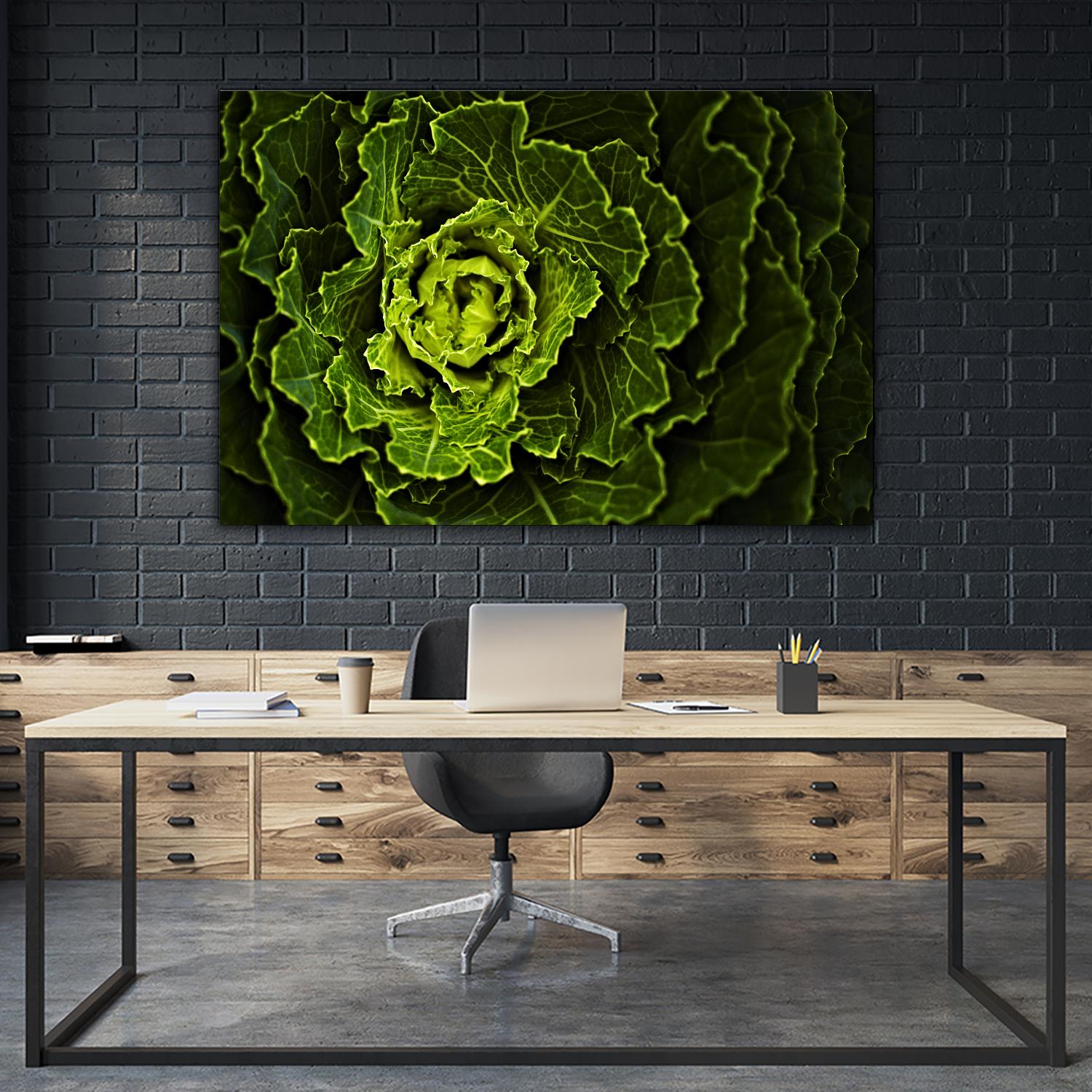 Cabbage I by Peter Morneau on GIANT ART - green photo art