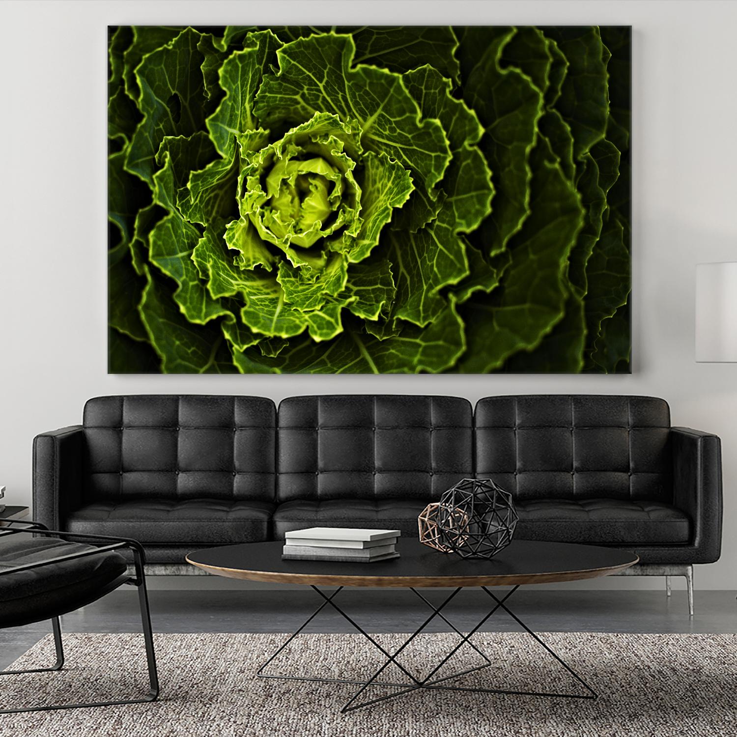 Cabbage I by Peter Morneau on GIANT ART - green photo art