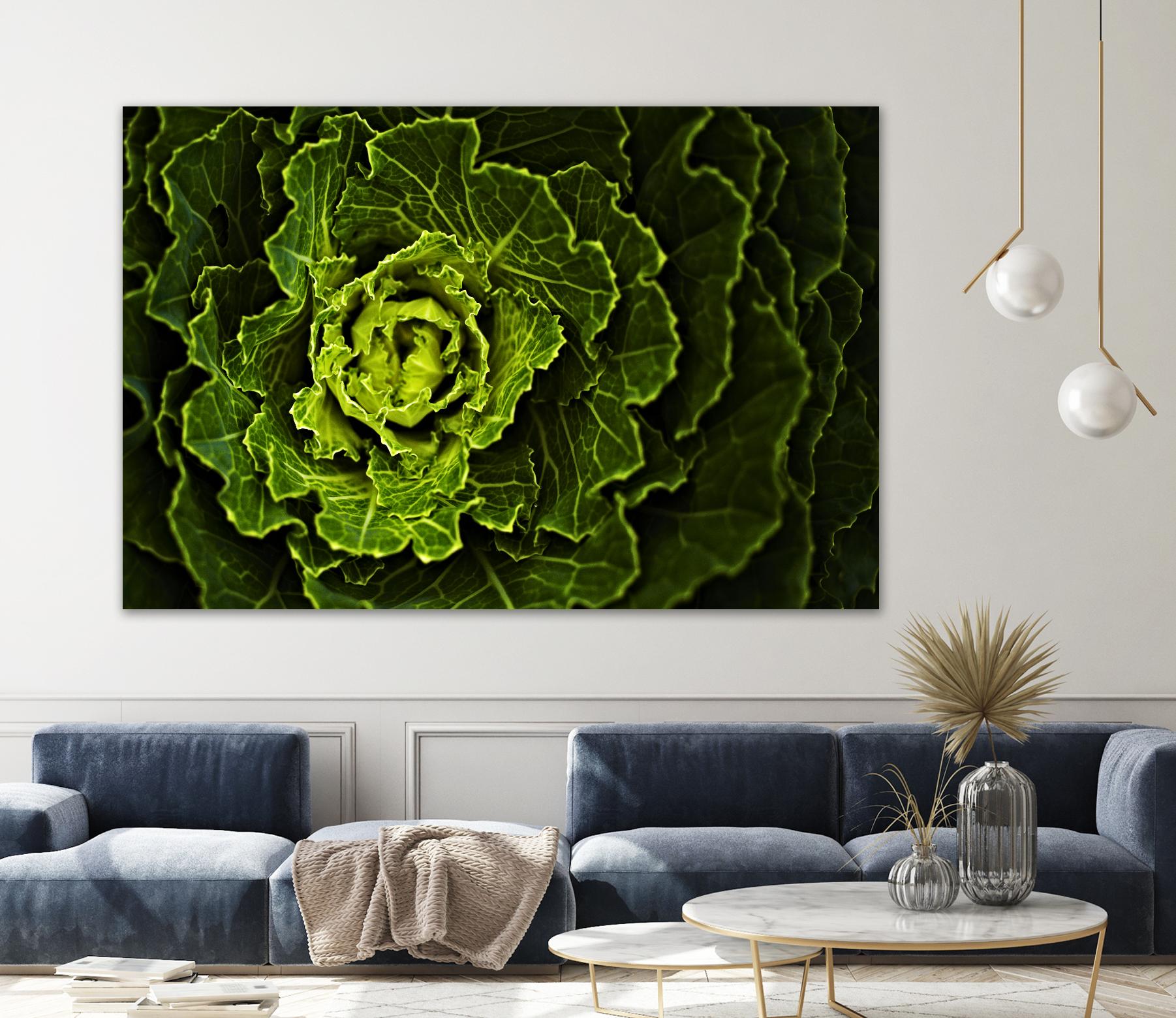 Cabbage I by Peter Morneau on GIANT ART - green photo art
