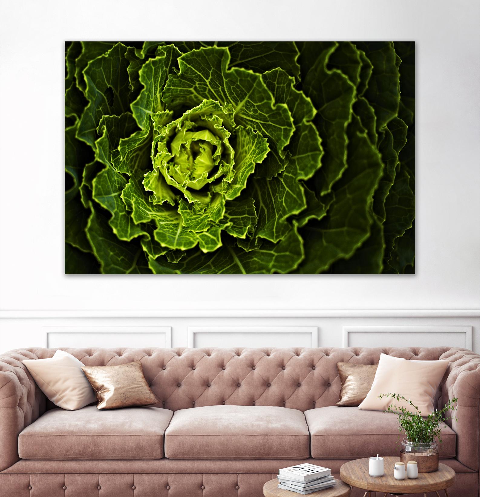Cabbage I by Peter Morneau on GIANT ART - green photo art