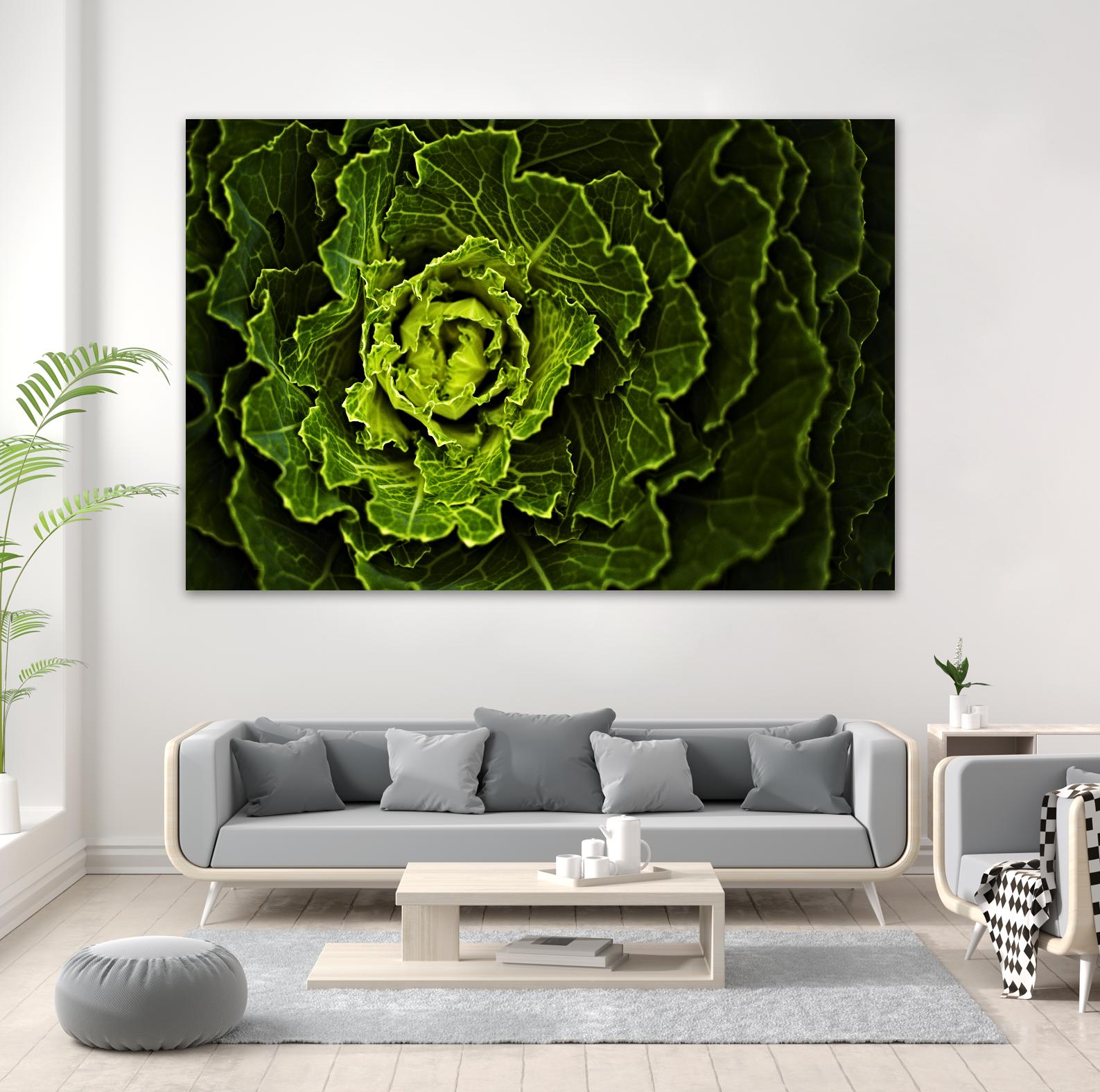 Cabbage I by Peter Morneau on GIANT ART - green photo art
