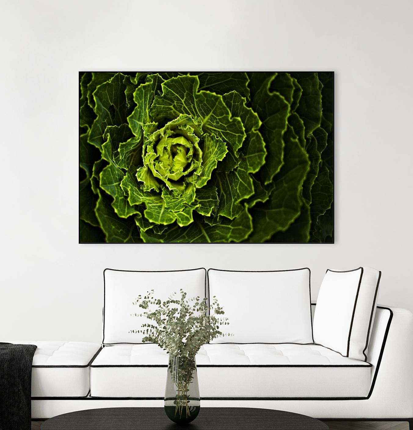 Cabbage I by Peter Morneau on GIANT ART - green photo art