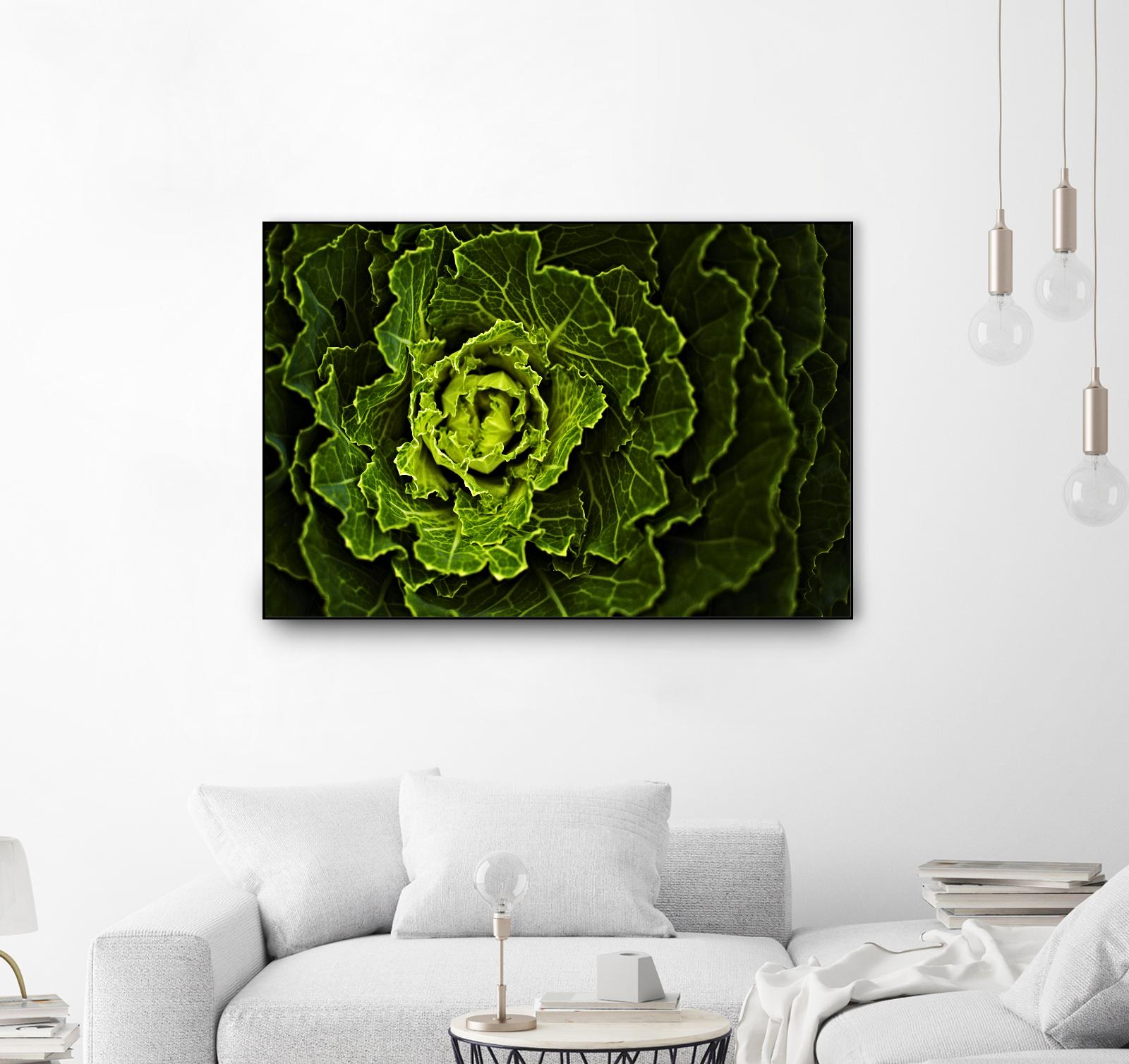 Cabbage I by Peter Morneau on GIANT ART - green photo art