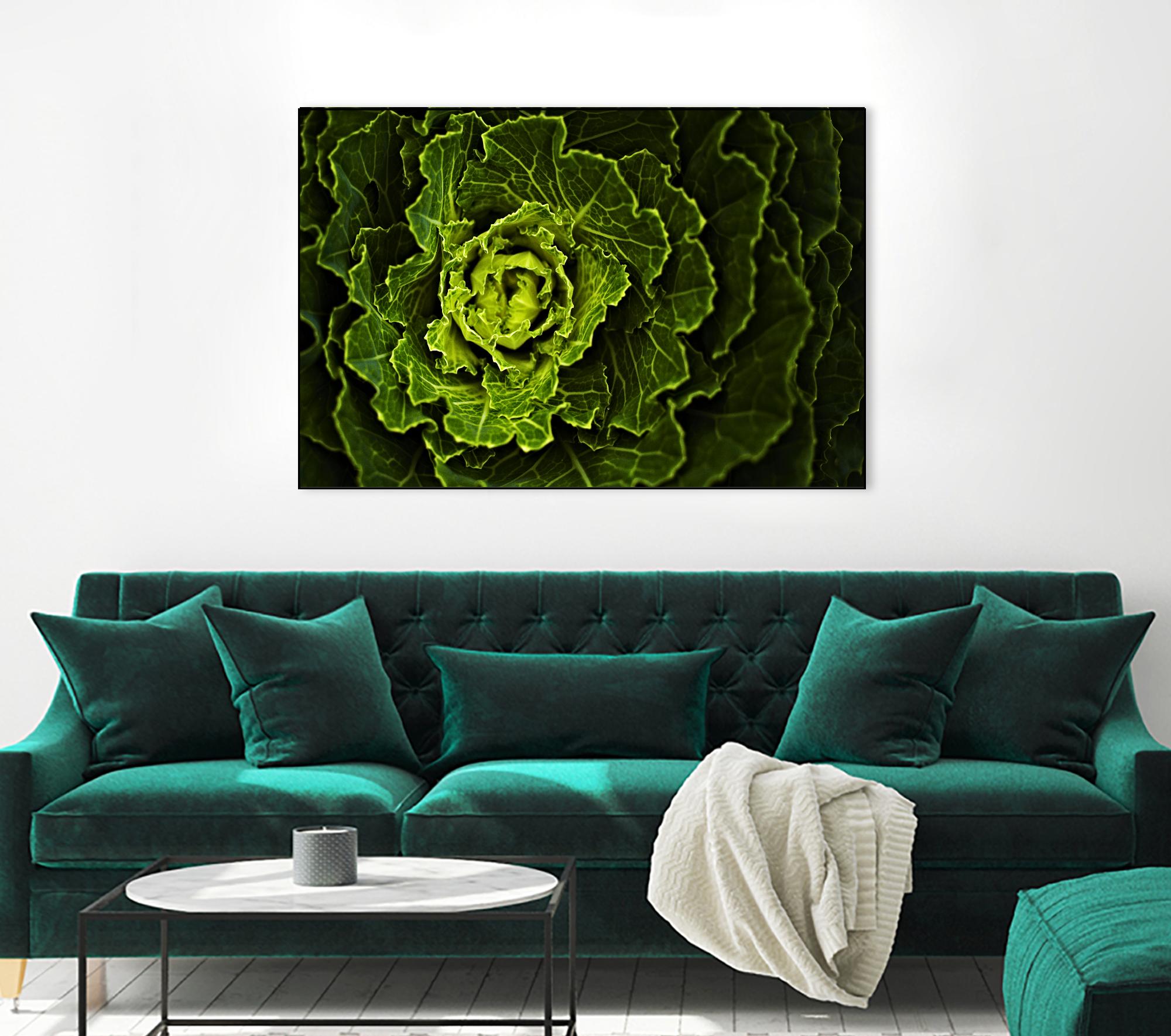 Cabbage I by Peter Morneau on GIANT ART - green photo art