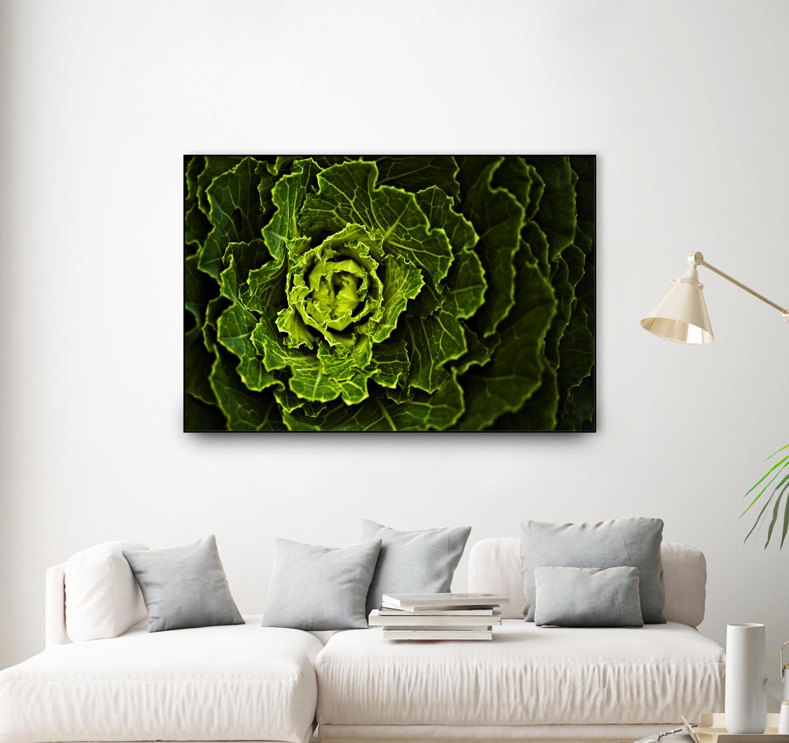 Cabbage I by Peter Morneau on GIANT ART - green photo art