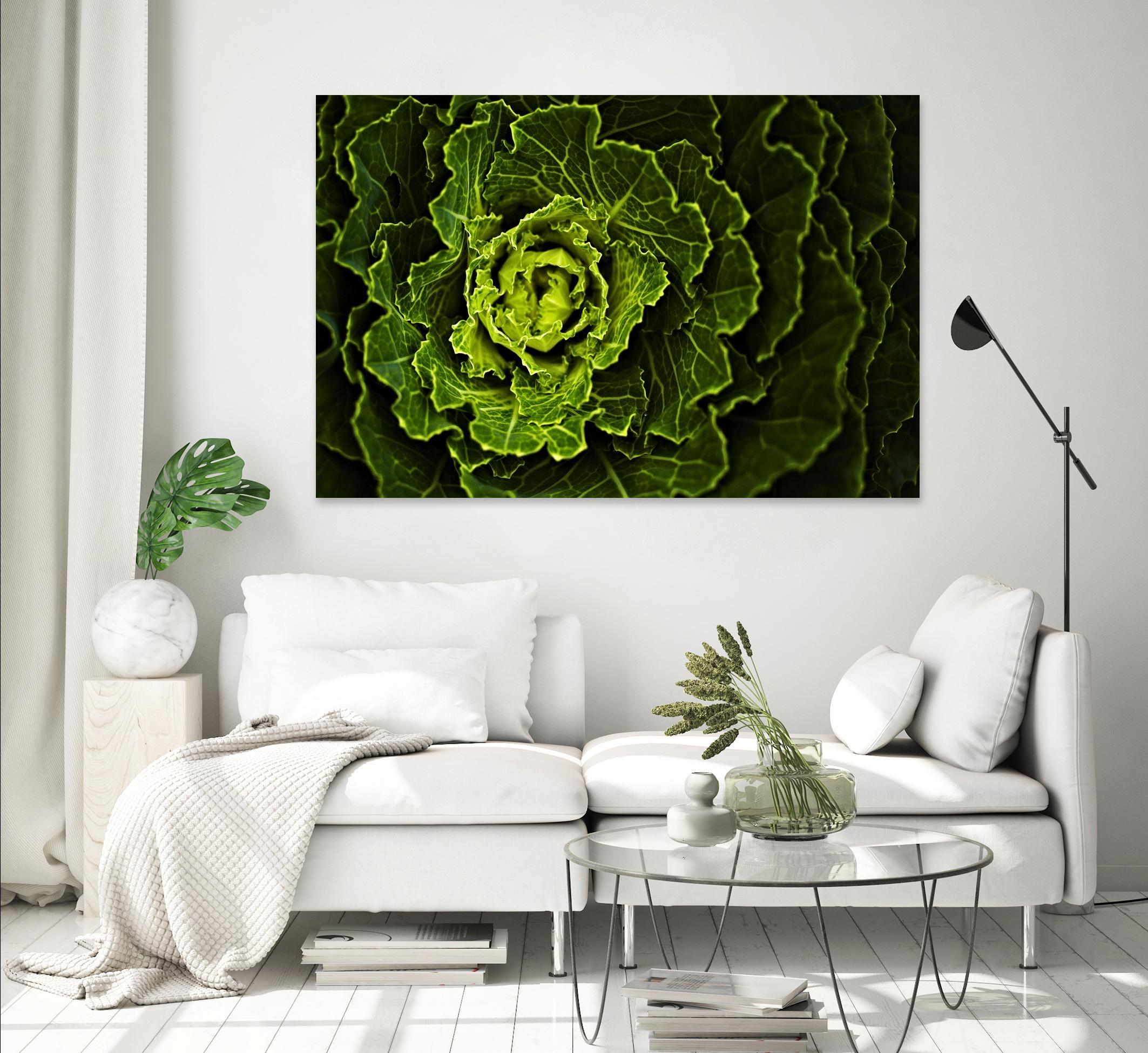 Cabbage I by Peter Morneau on GIANT ART - green photo art