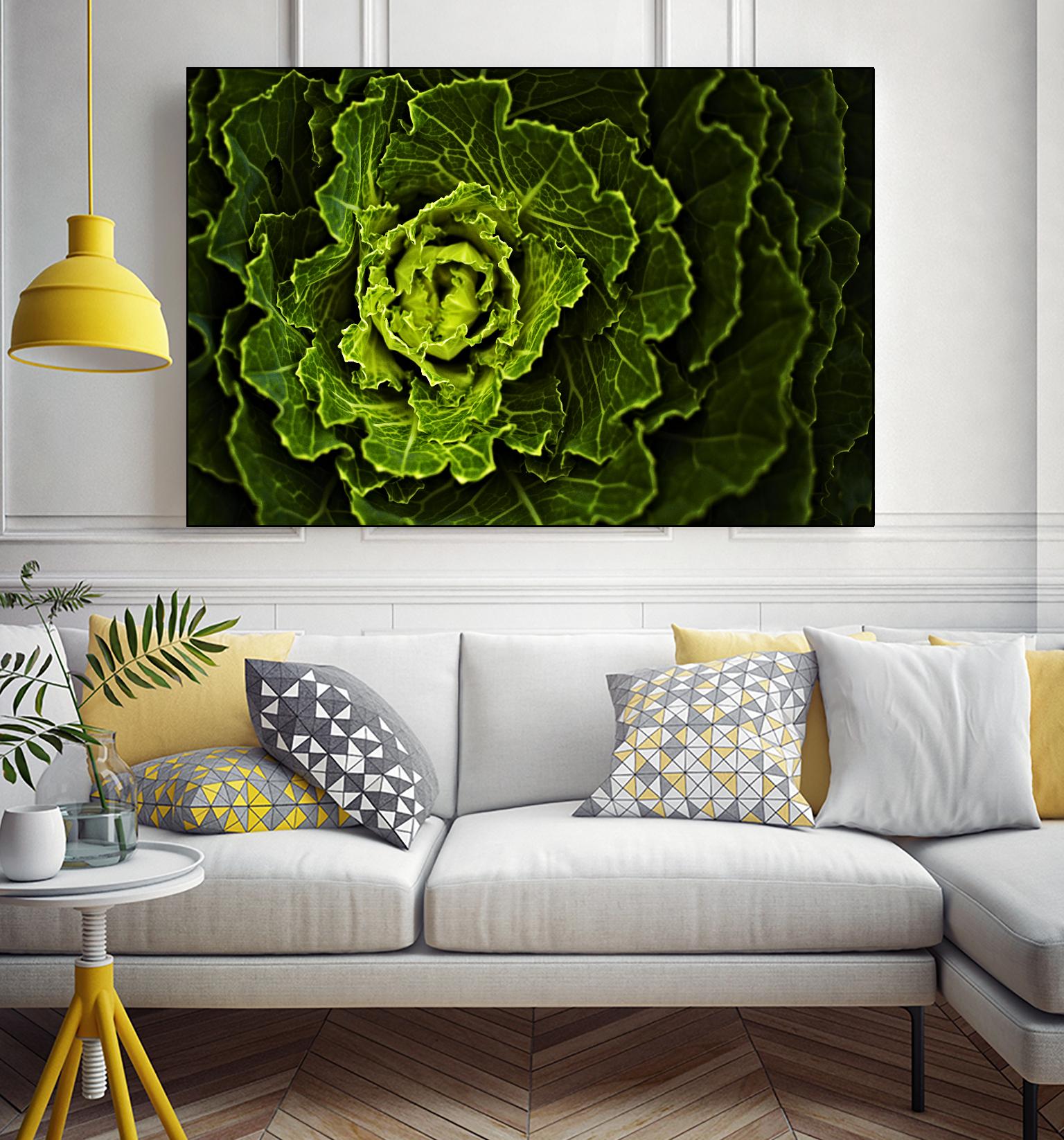 Cabbage I by Peter Morneau on GIANT ART - green photo art