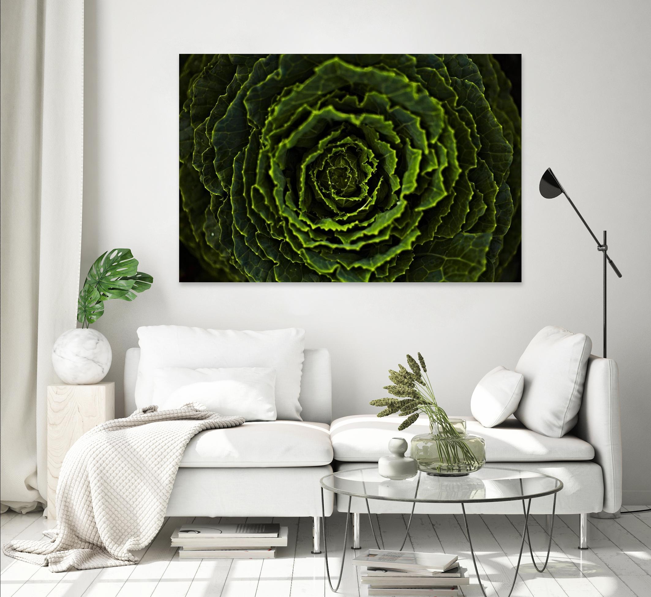 Cabbage II by Peter Morneau on GIANT ART - green photo art