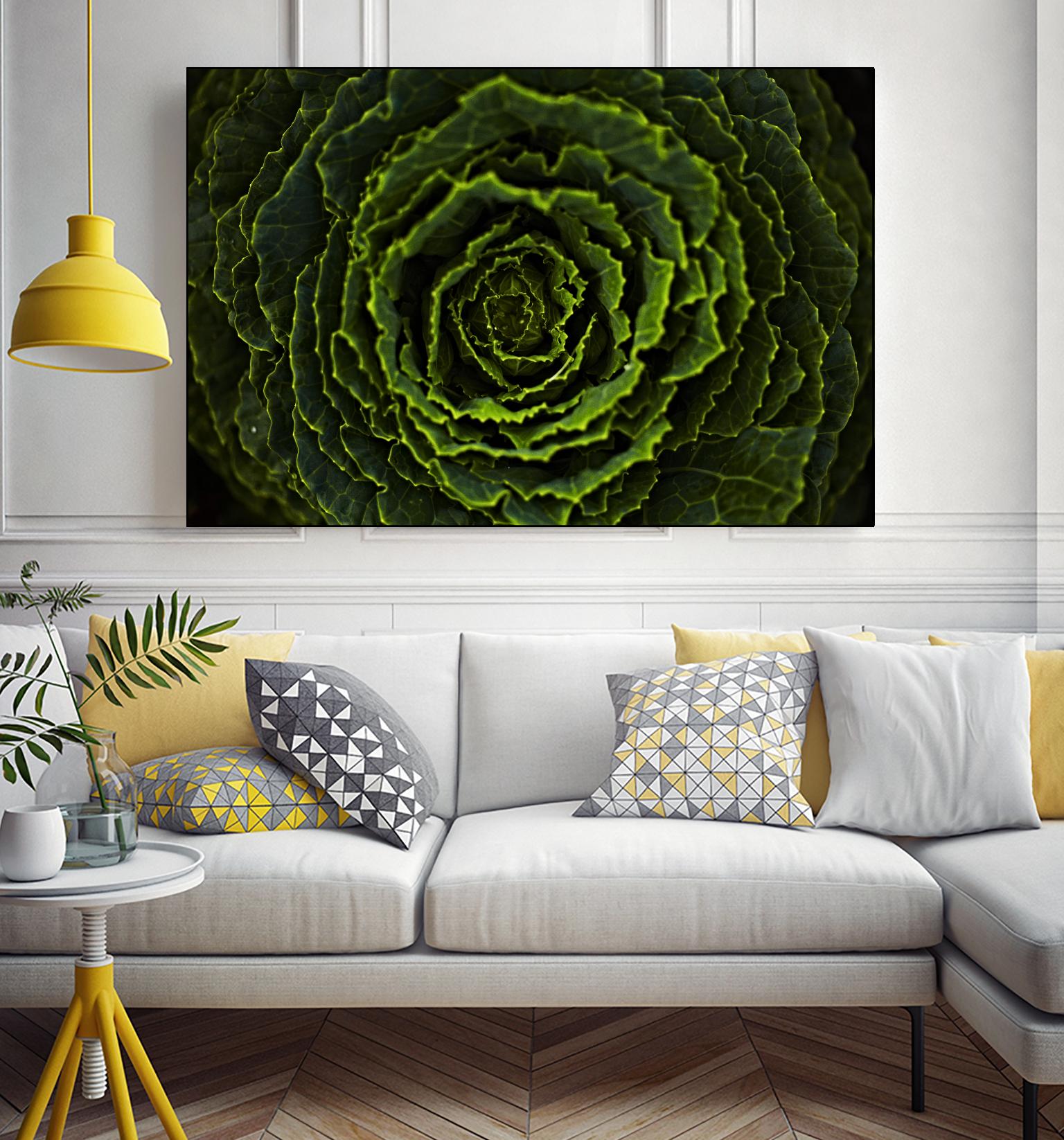Cabbage II by Peter Morneau on GIANT ART - green photo art