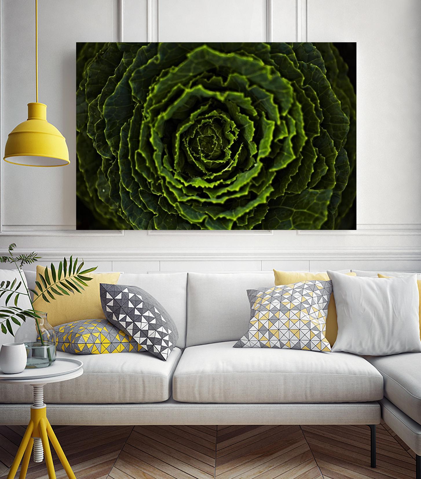 Cabbage II by Peter Morneau on GIANT ART - green photo art