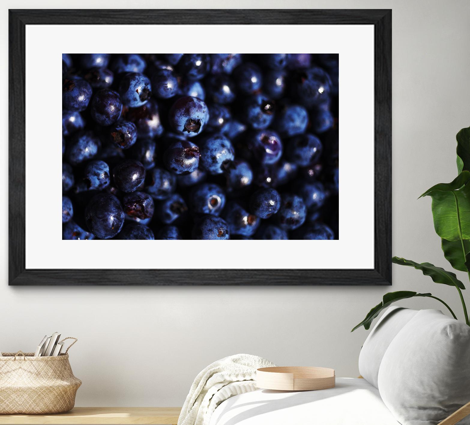 Blueberries I by Peter Morneau on GIANT ART - blue photo art