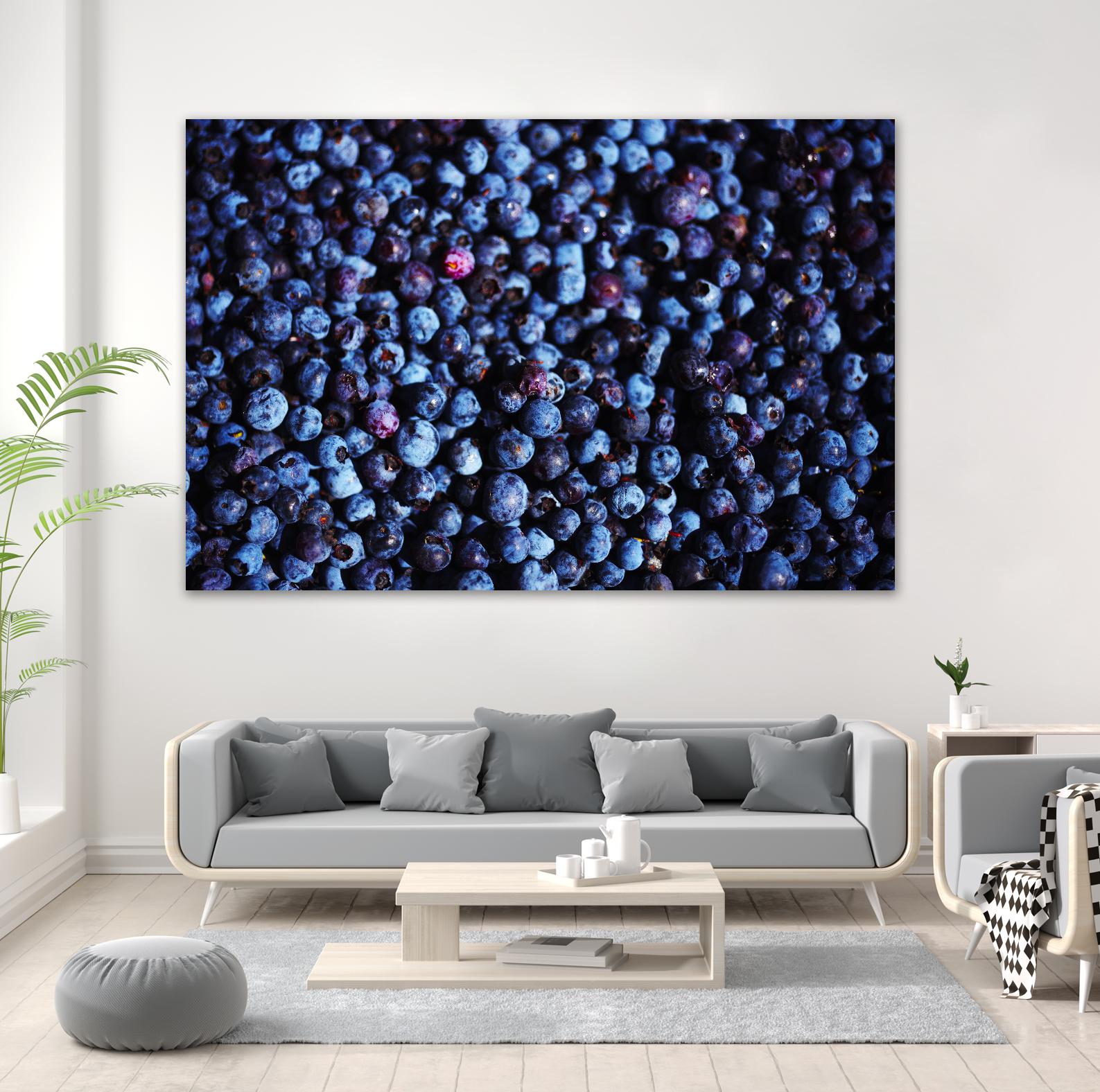 Blueberries II by Peter Morneau on GIANT ART - blue photo art
