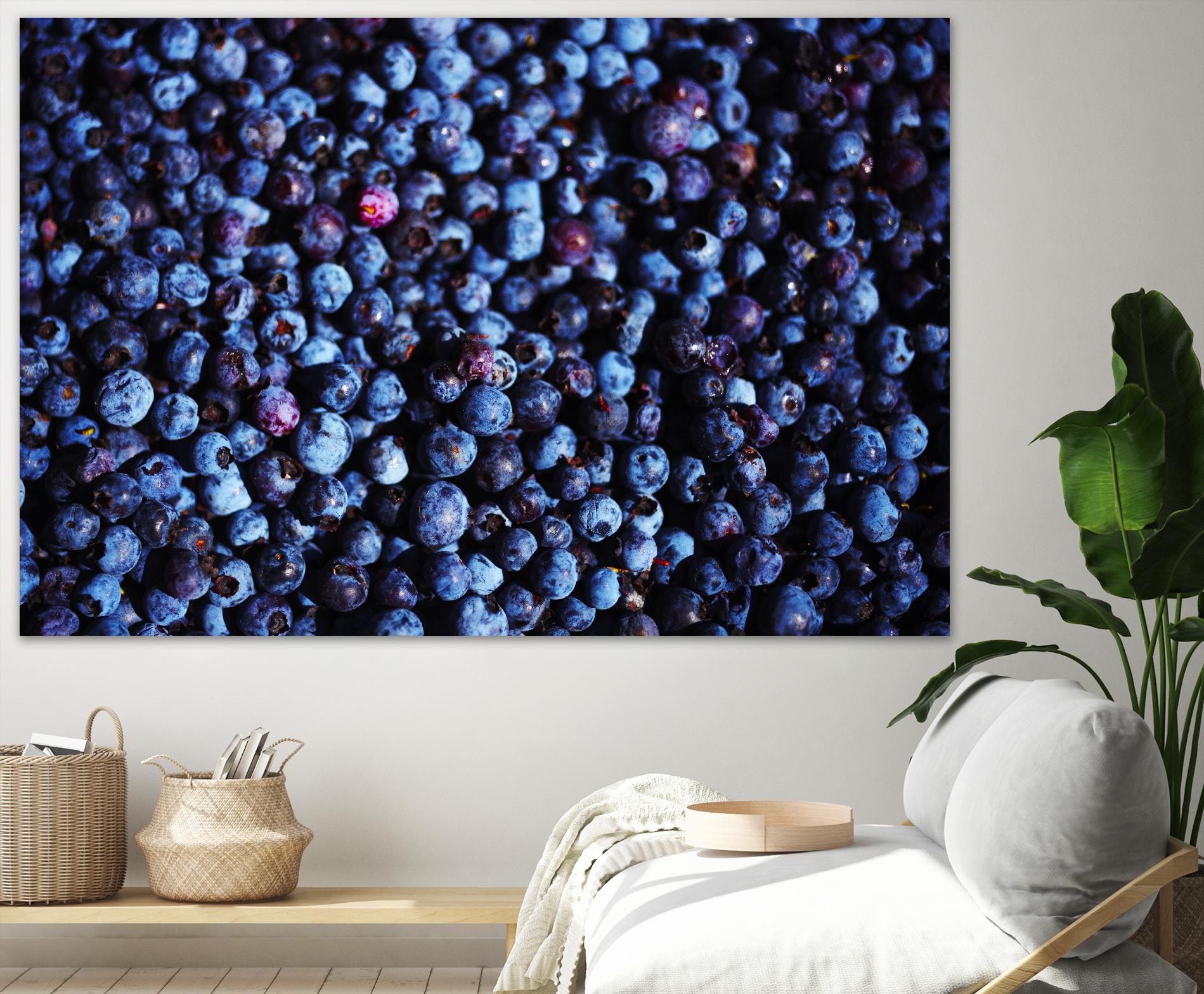Blueberries II by Peter Morneau on GIANT ART - blue photo art