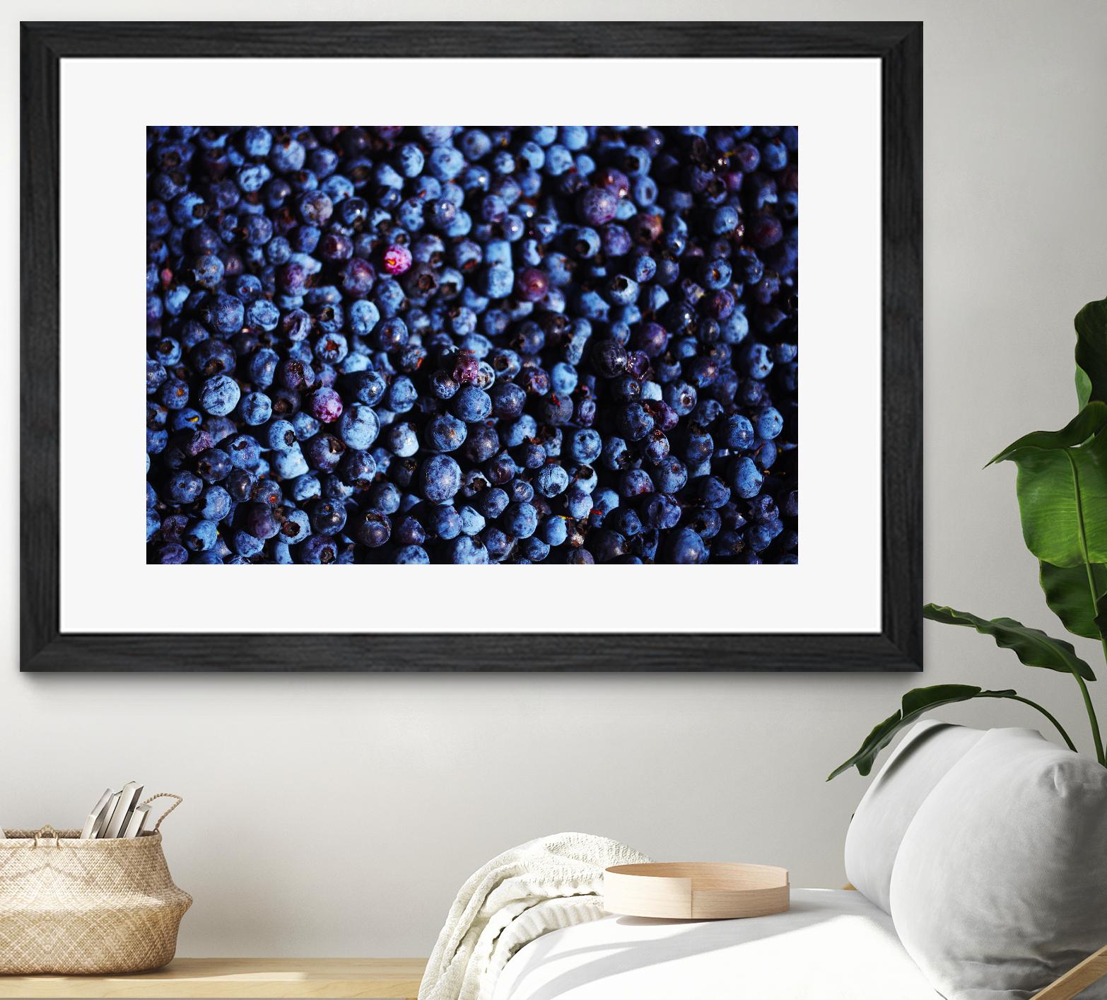 Blueberries II by Peter Morneau on GIANT ART - blue photo art