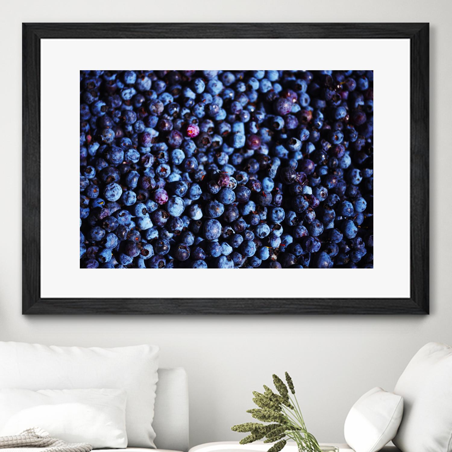 Blueberries II by Peter Morneau on GIANT ART - blue photo art