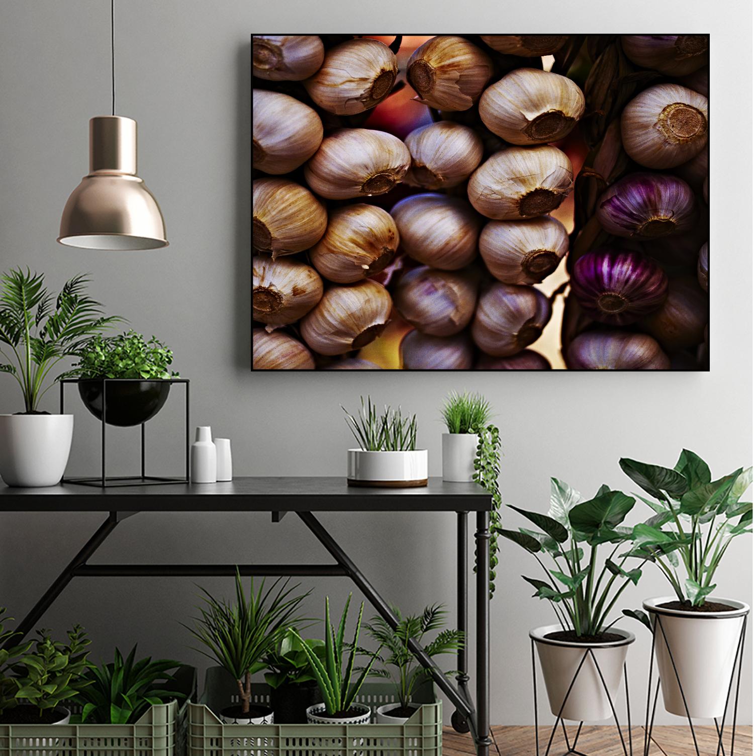 Garlic by Peter Morneau on GIANT ART - purple photo art
