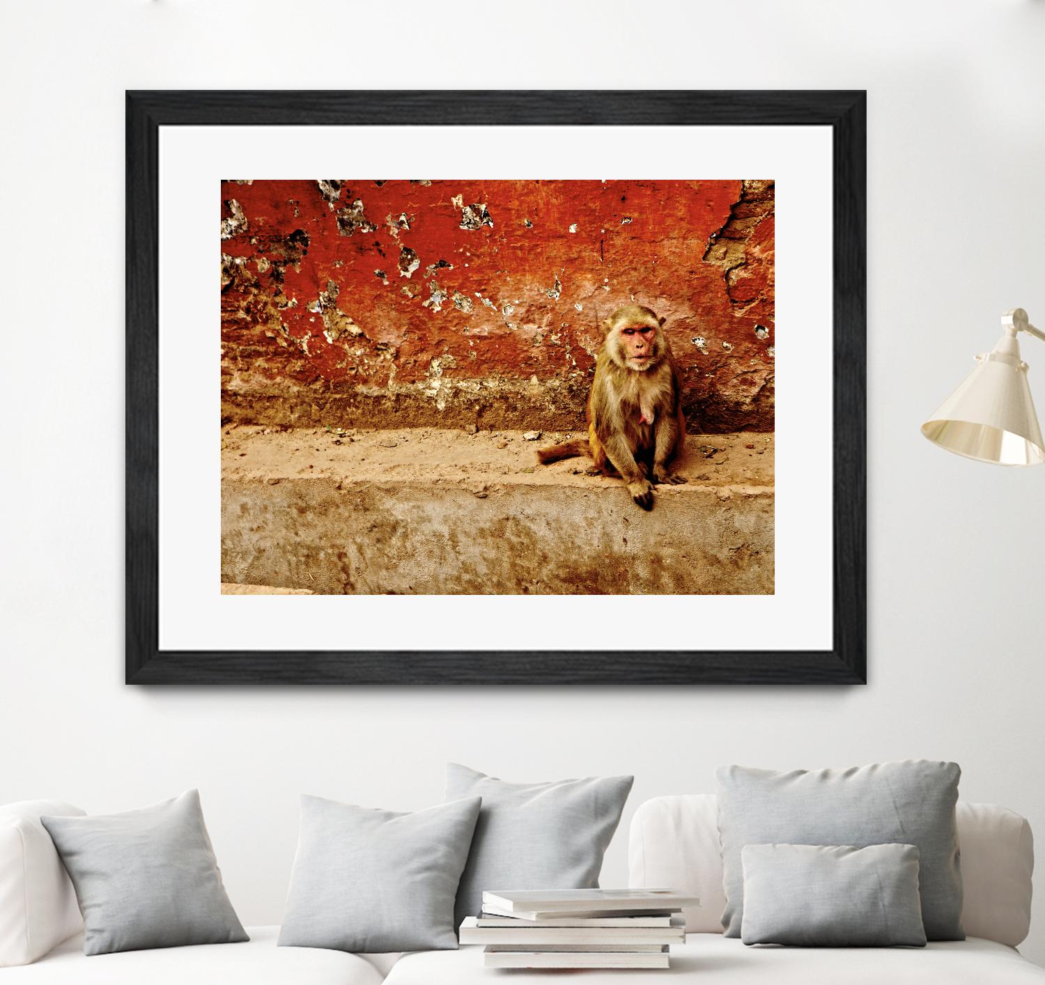 Monkey by Peter Morneau on GIANT ART - orange photo art