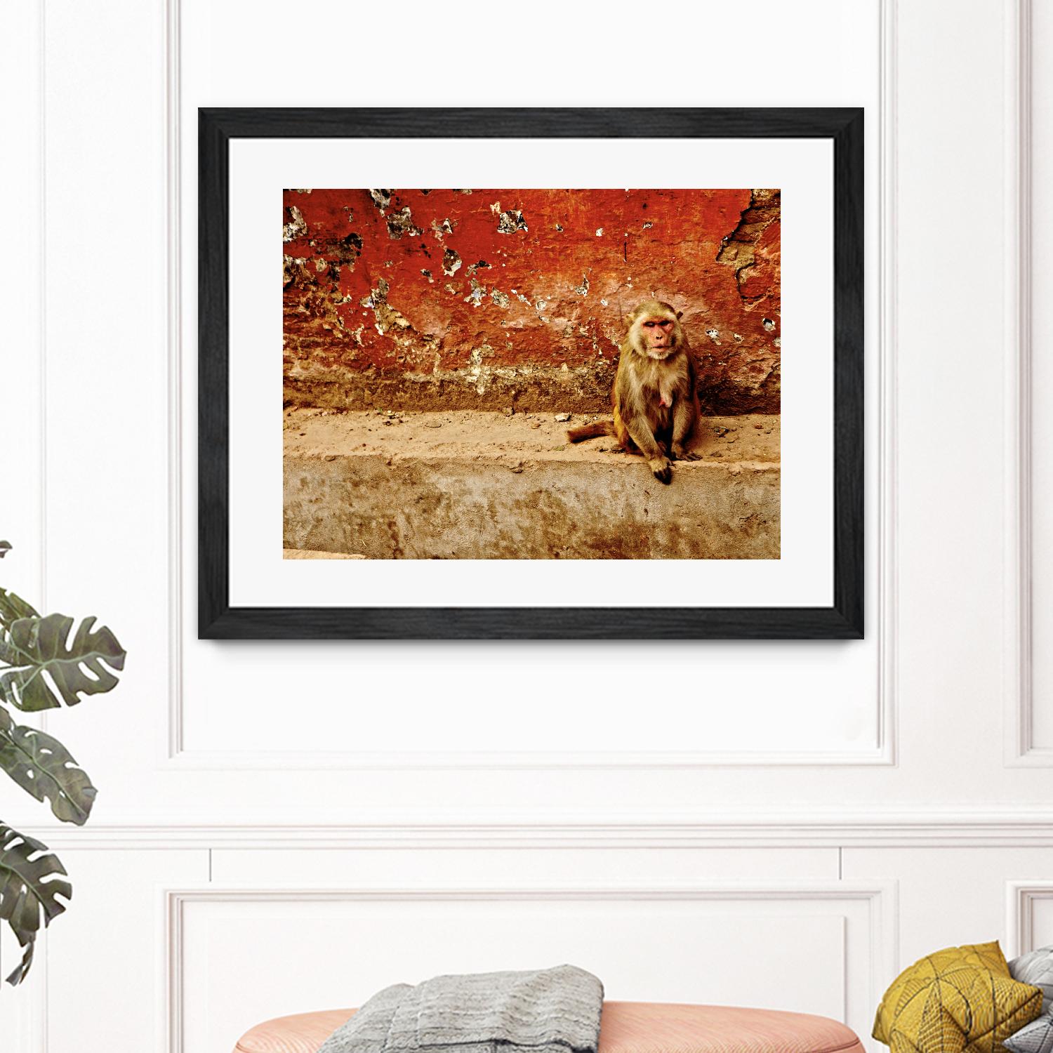 Monkey by Peter Morneau on GIANT ART - orange photo art