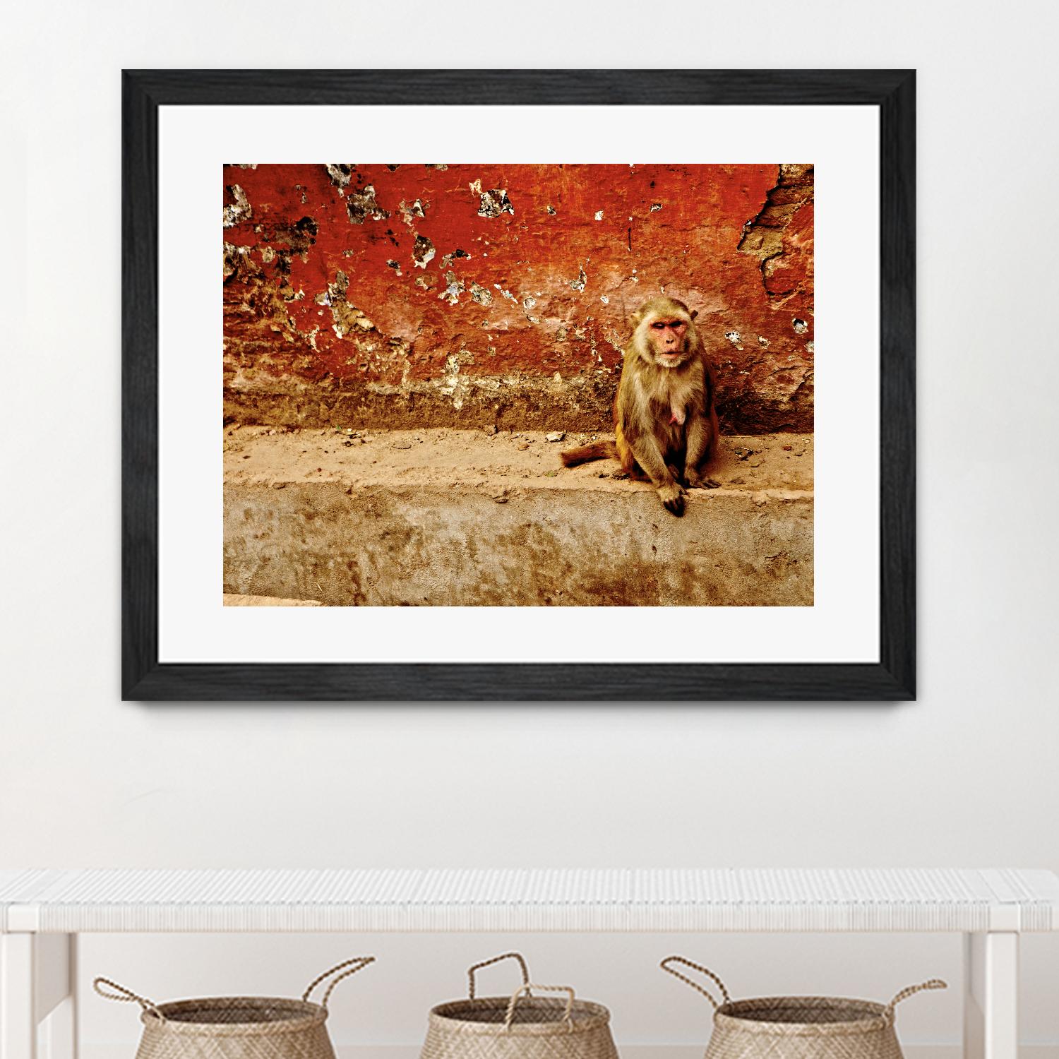 Monkey by Peter Morneau on GIANT ART - orange photo art