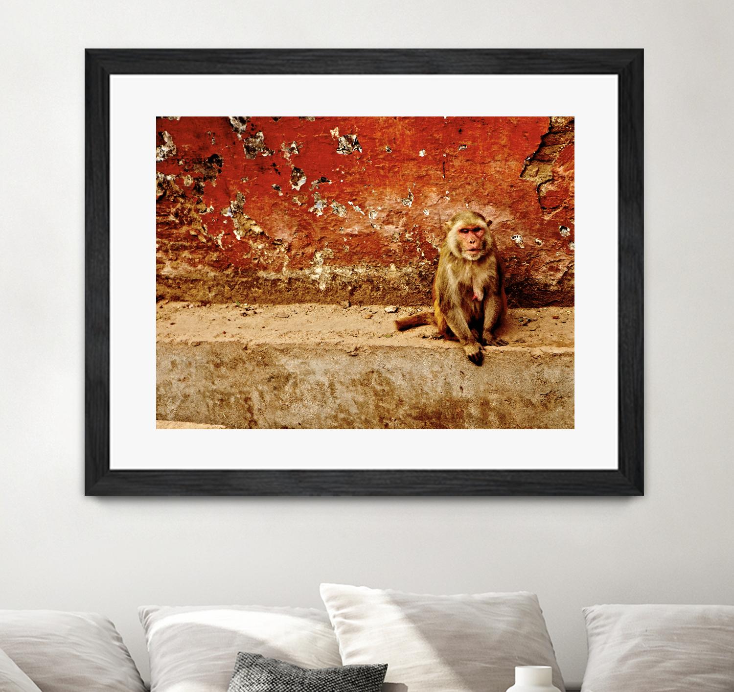 Monkey by Peter Morneau on GIANT ART - orange photo art
